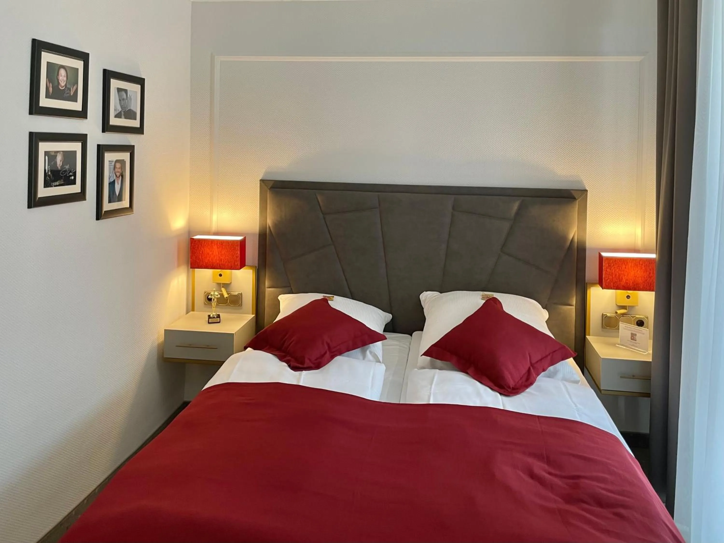 Standard Double Room in Star-Apart Hansa Hotel