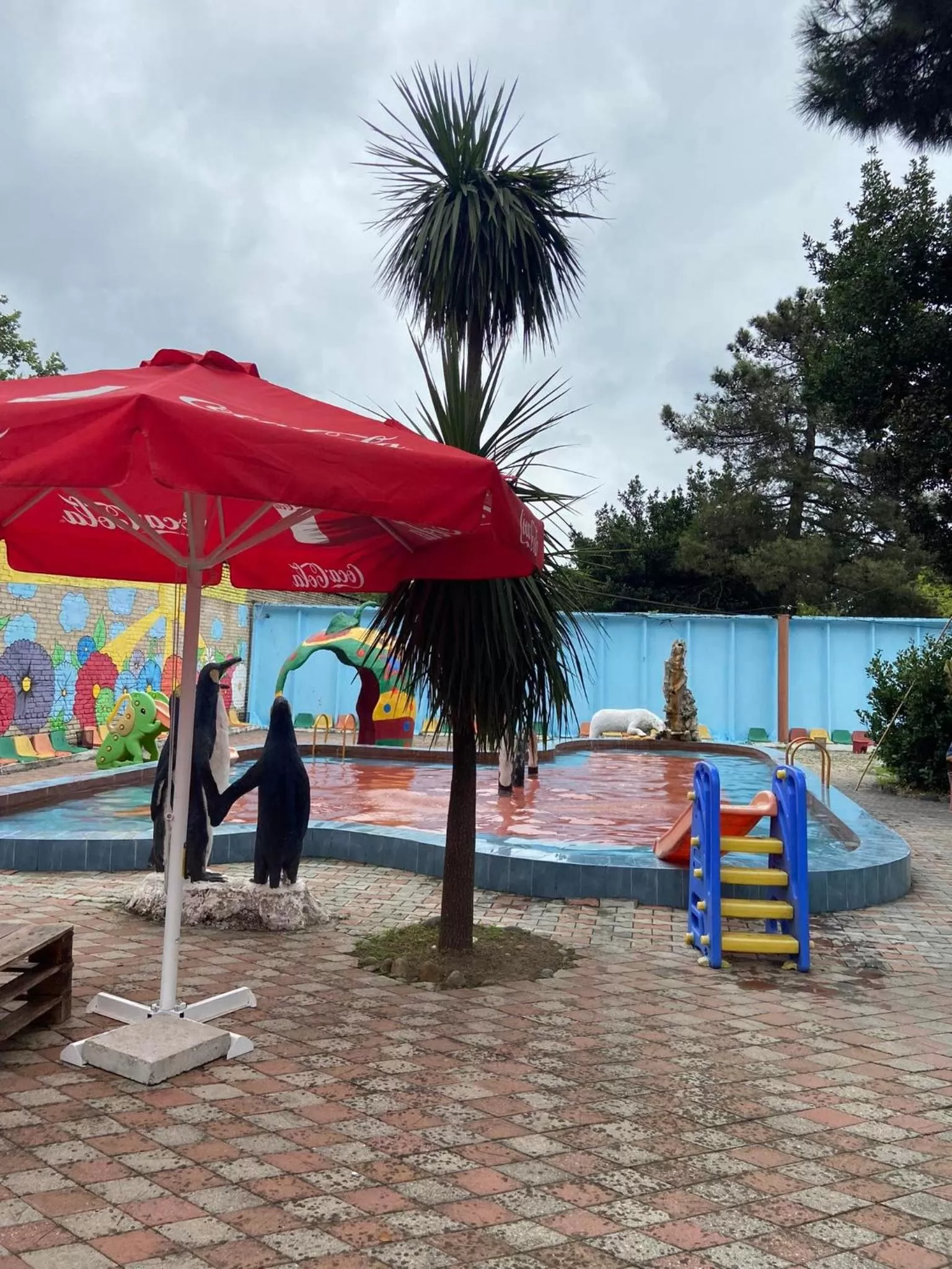 Swimming pool, Beach in Hostel Golden Fleece