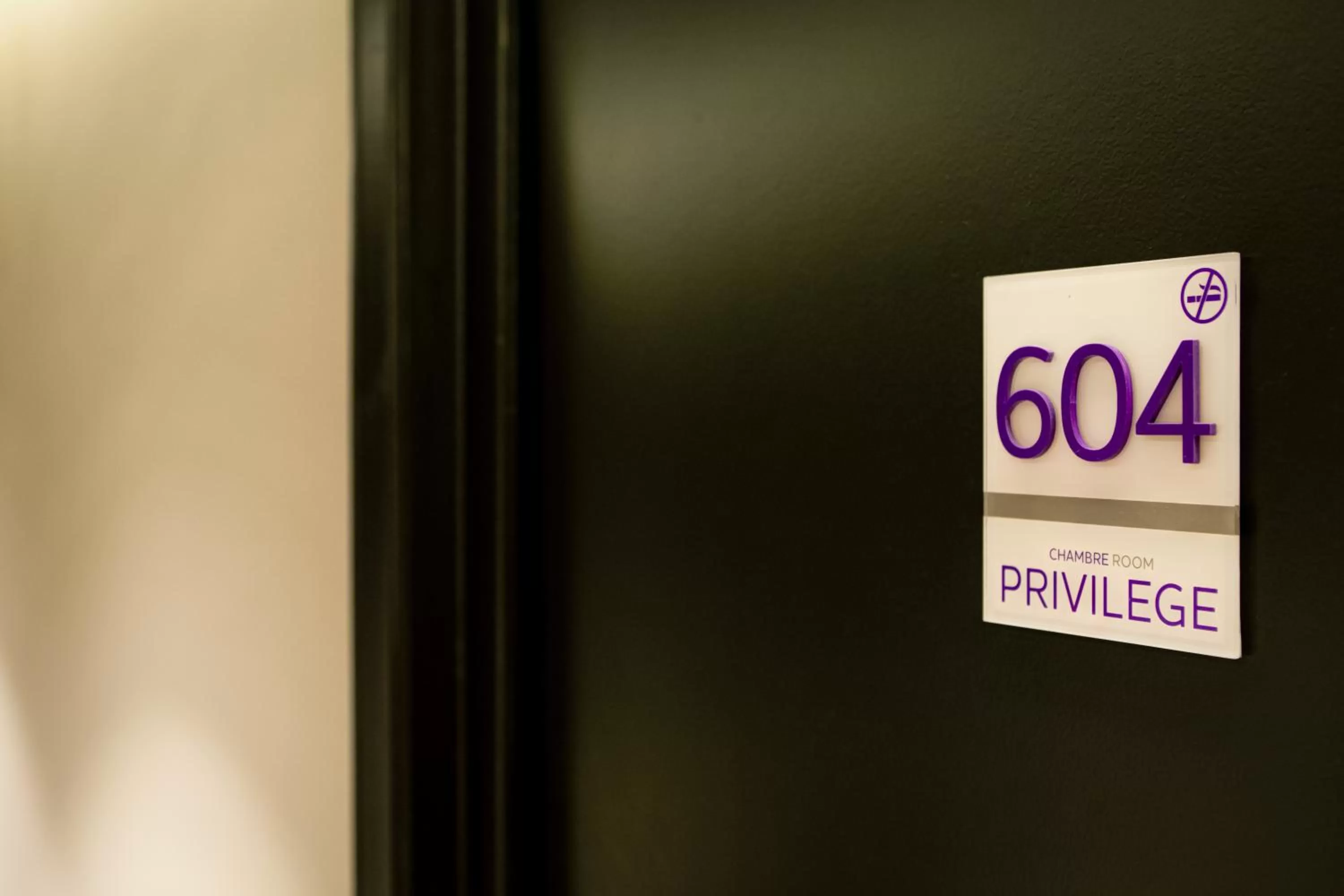 Decorative detail in Mercure Lyon Centre Plaza République