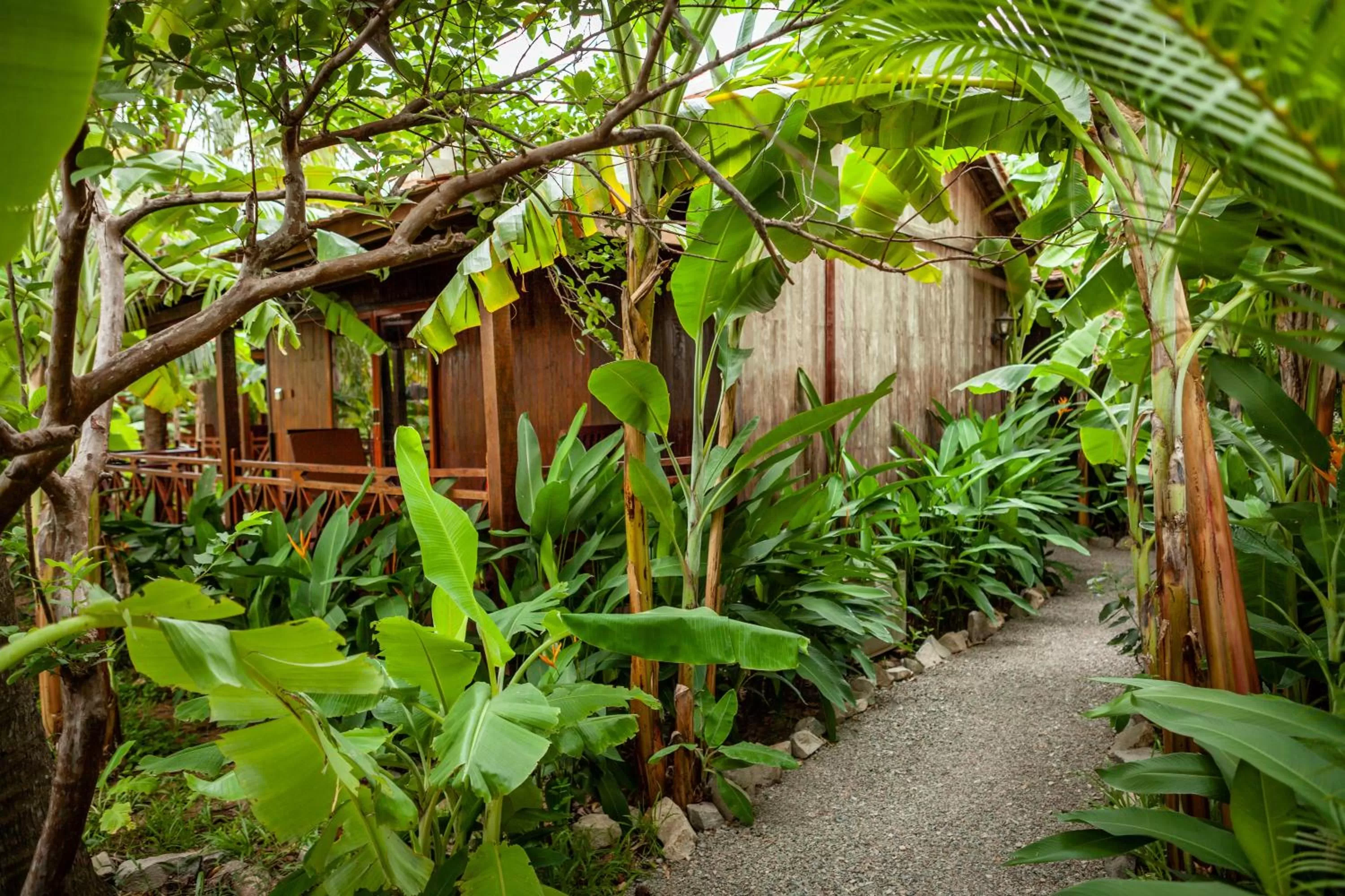 Garden in Authentic Khmer Village Resort