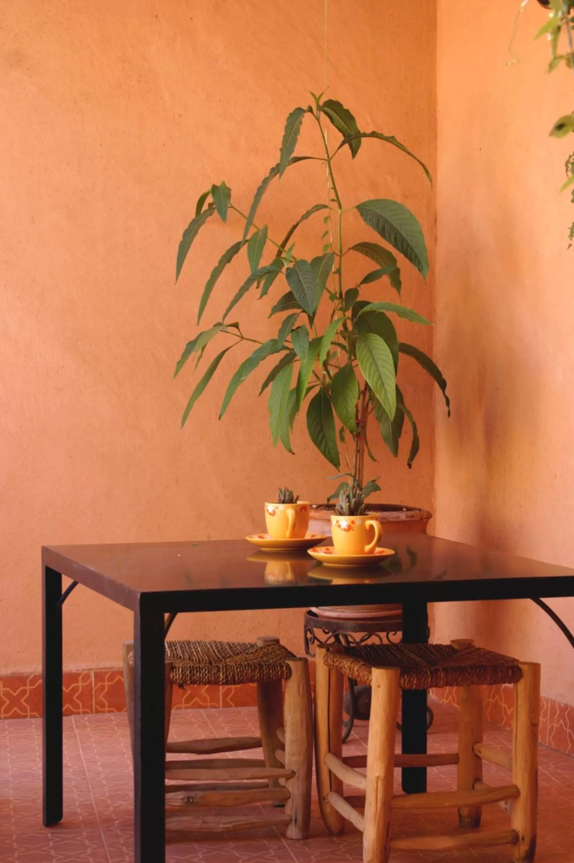 Balcony/Terrace in Maison d'hôtes Dar El Nath