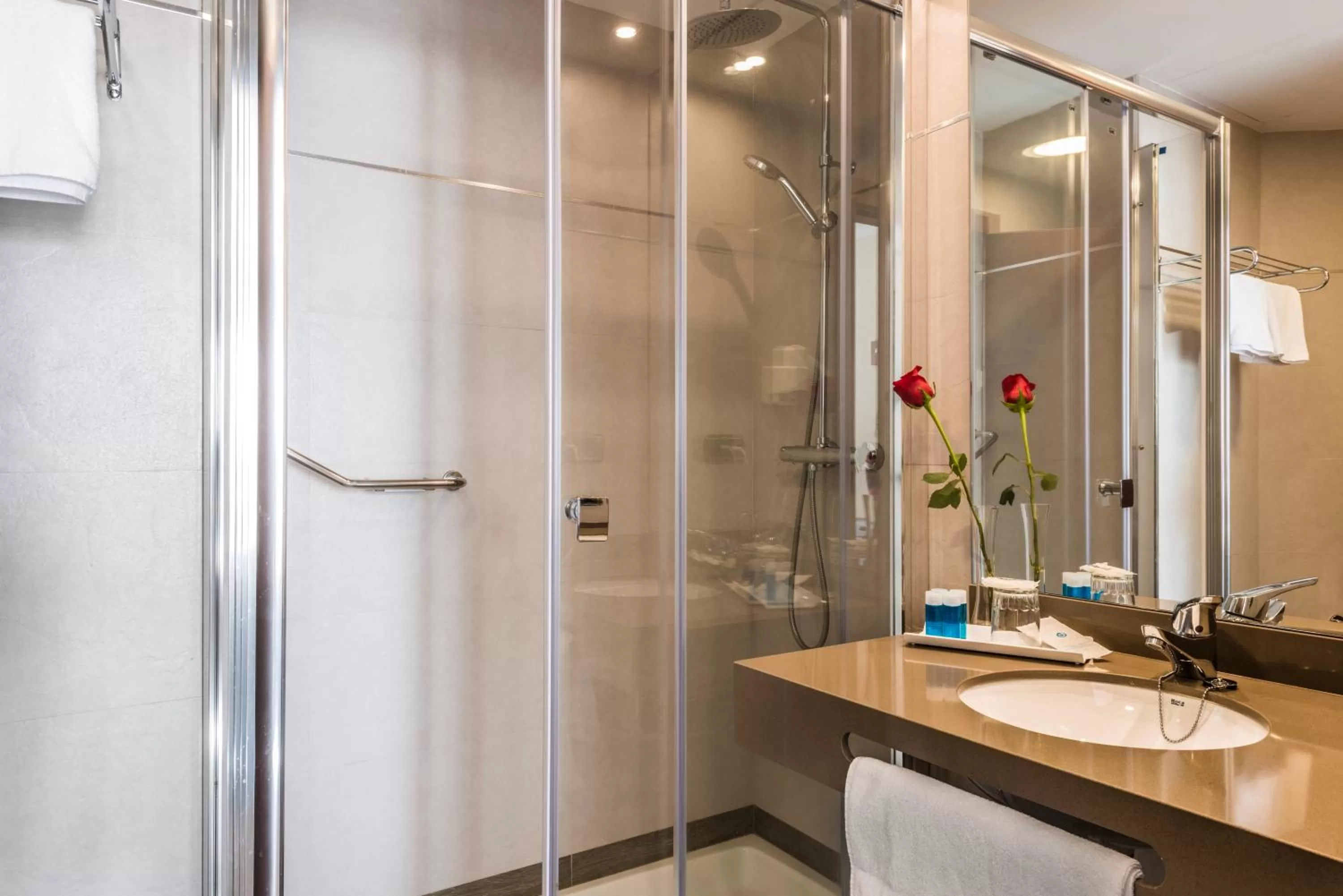 Bathroom in Porcel Alixares