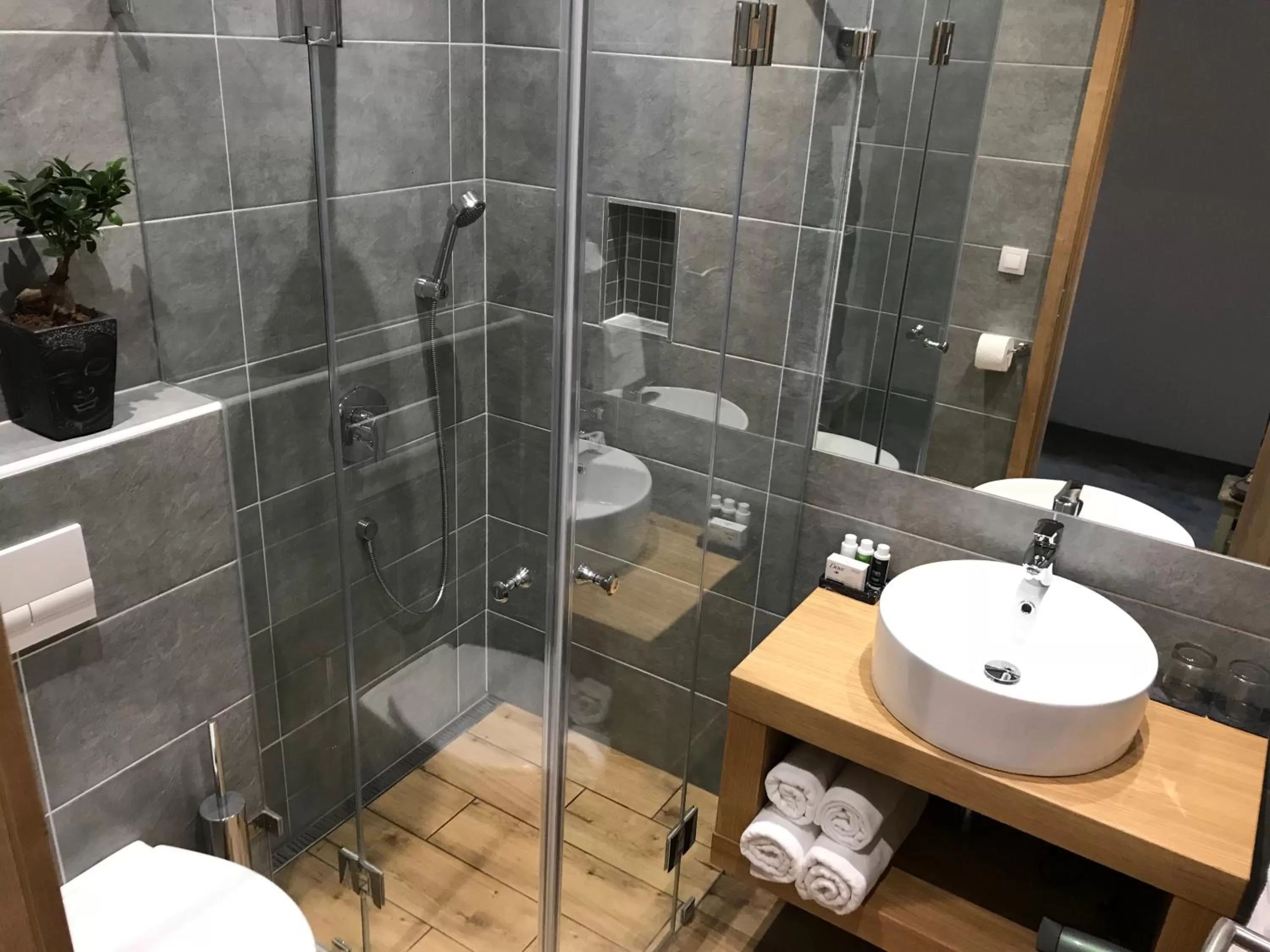 Shower, Bathroom in Villa Aruba & Private SPA Suites