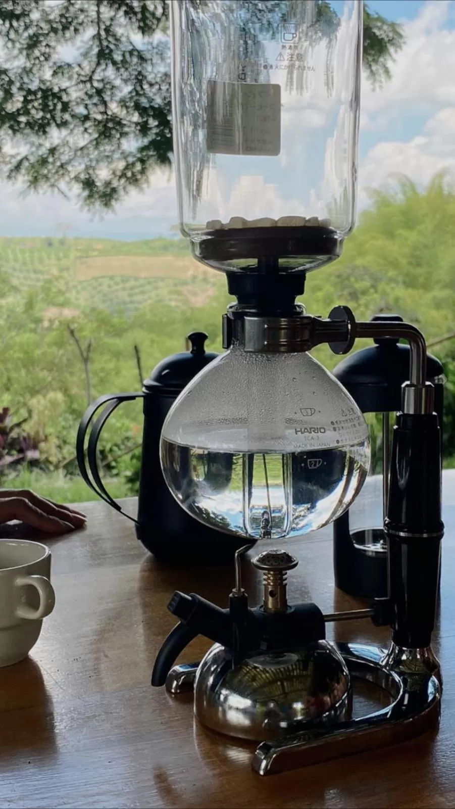 Activities in MuchoSur Quimbaya