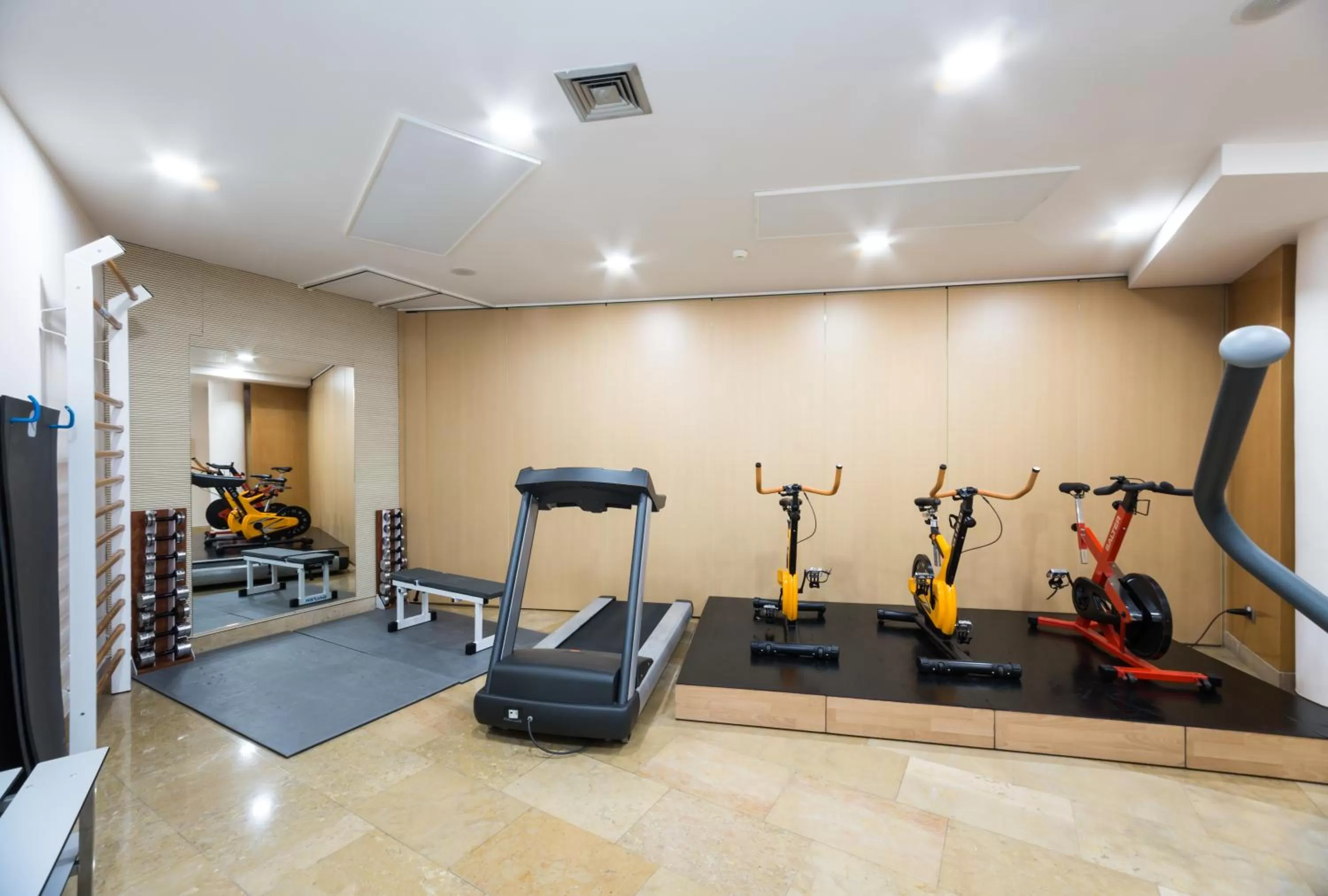Fitness centre/facilities in Hotel Palacio de Aiete