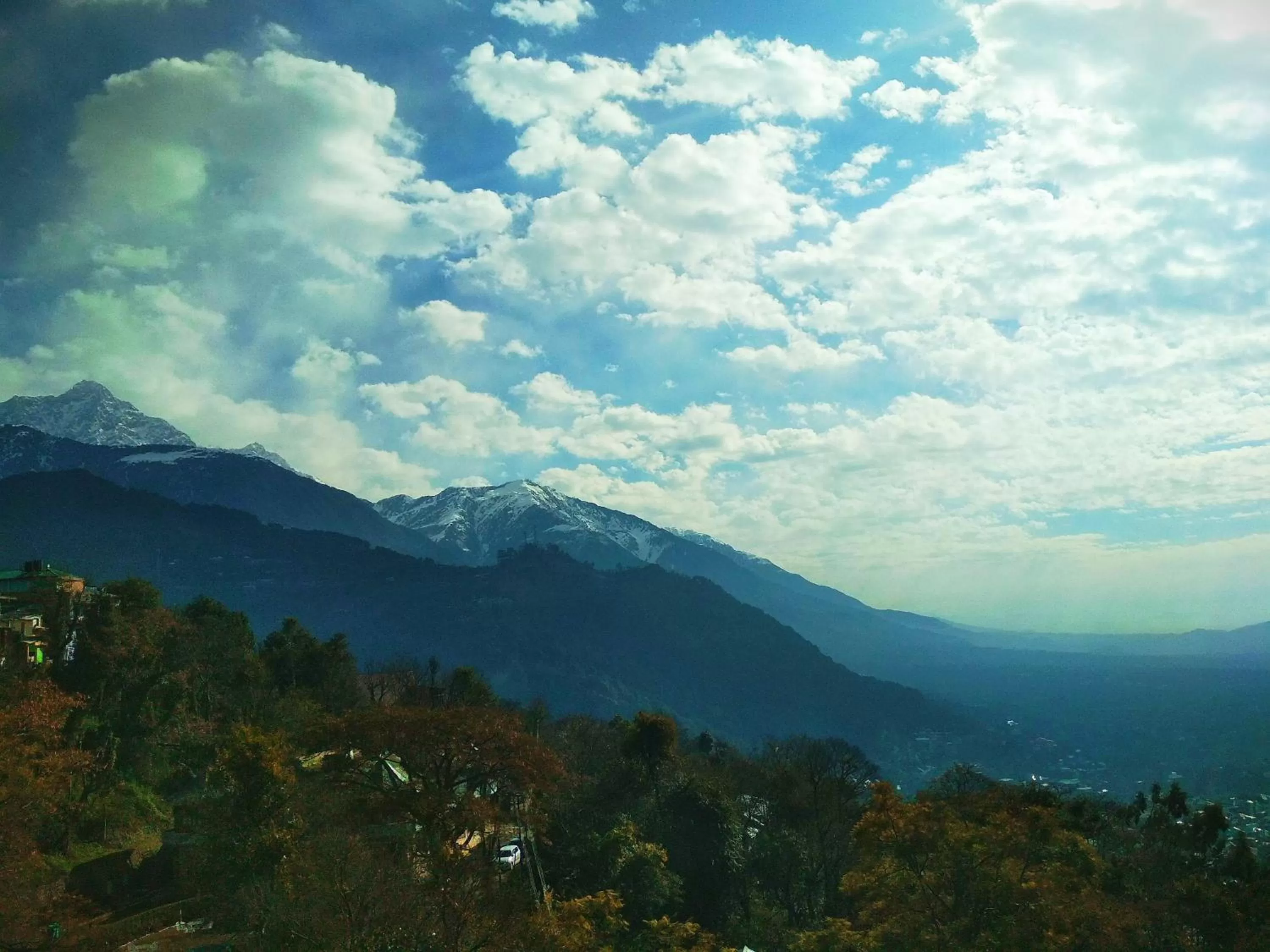 View (from property/room) in Hotel Bliss Valley - Hotel in Dharamshala