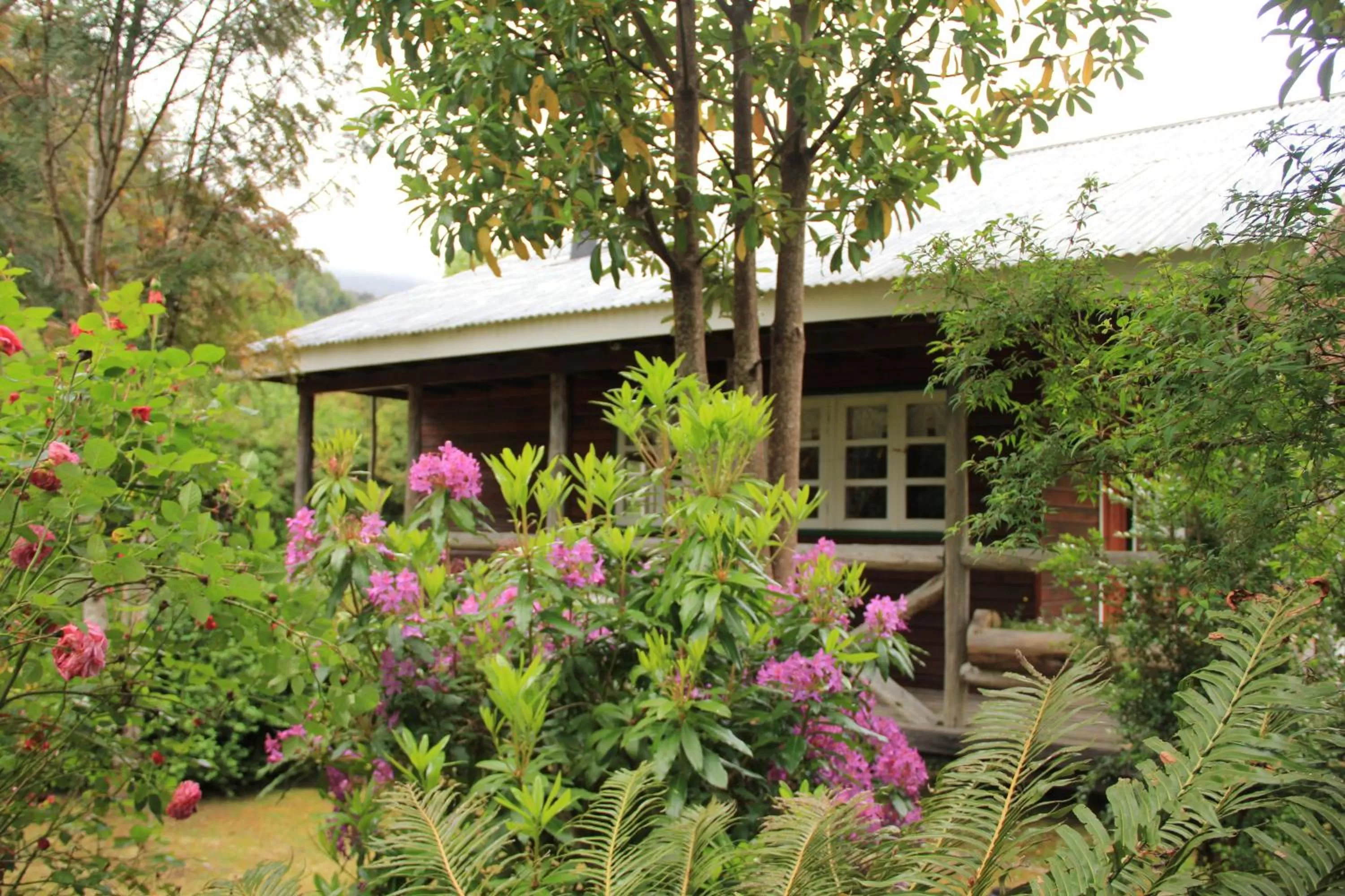 Balcony/Terrace, Property Building in Posada Queulat