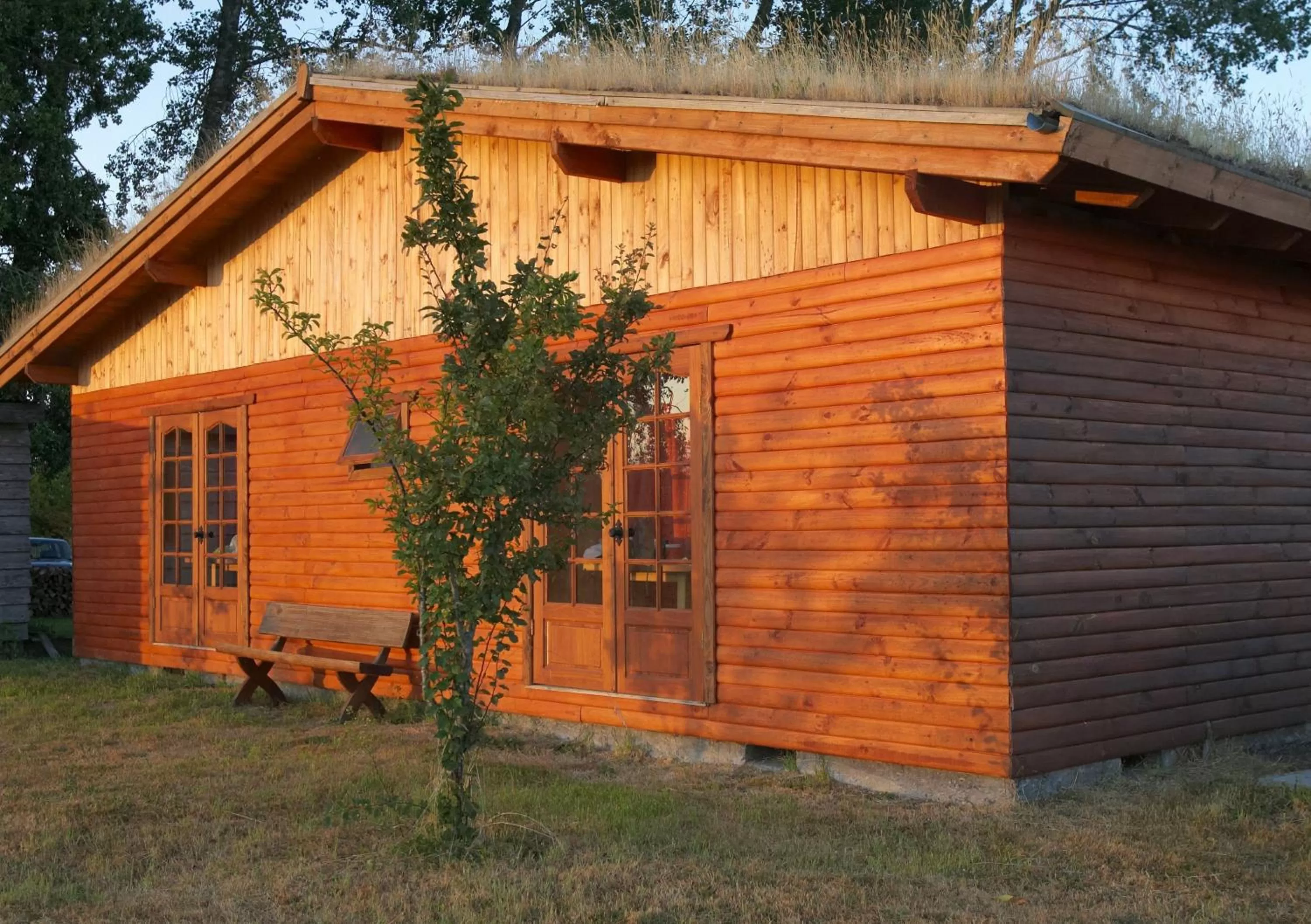 Facade/entrance in Hostal Zapato Amarillo