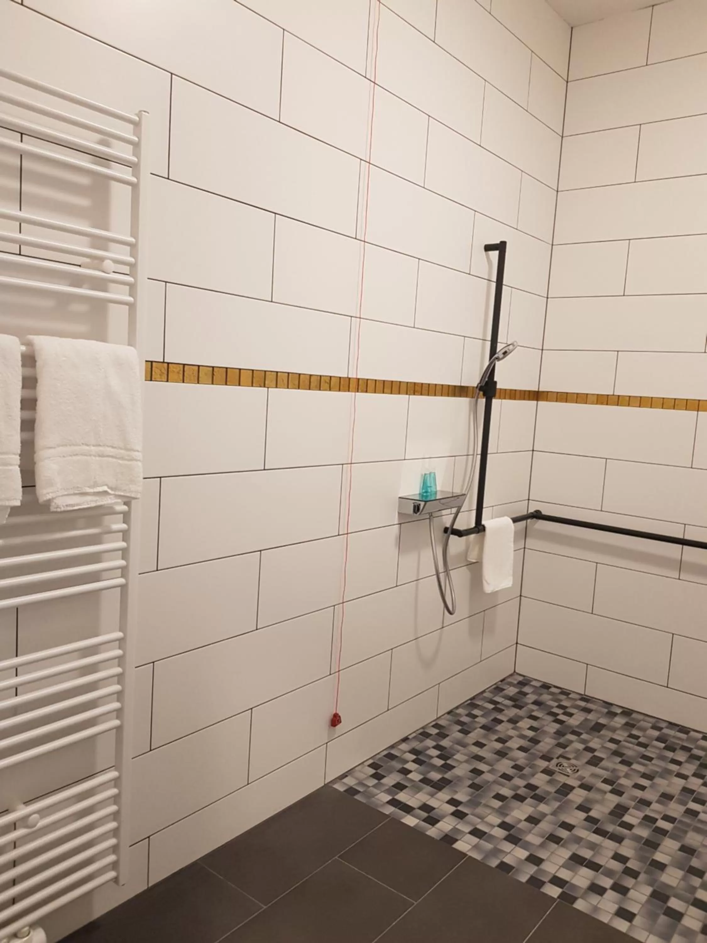 Shower in Hotel Adler Münster