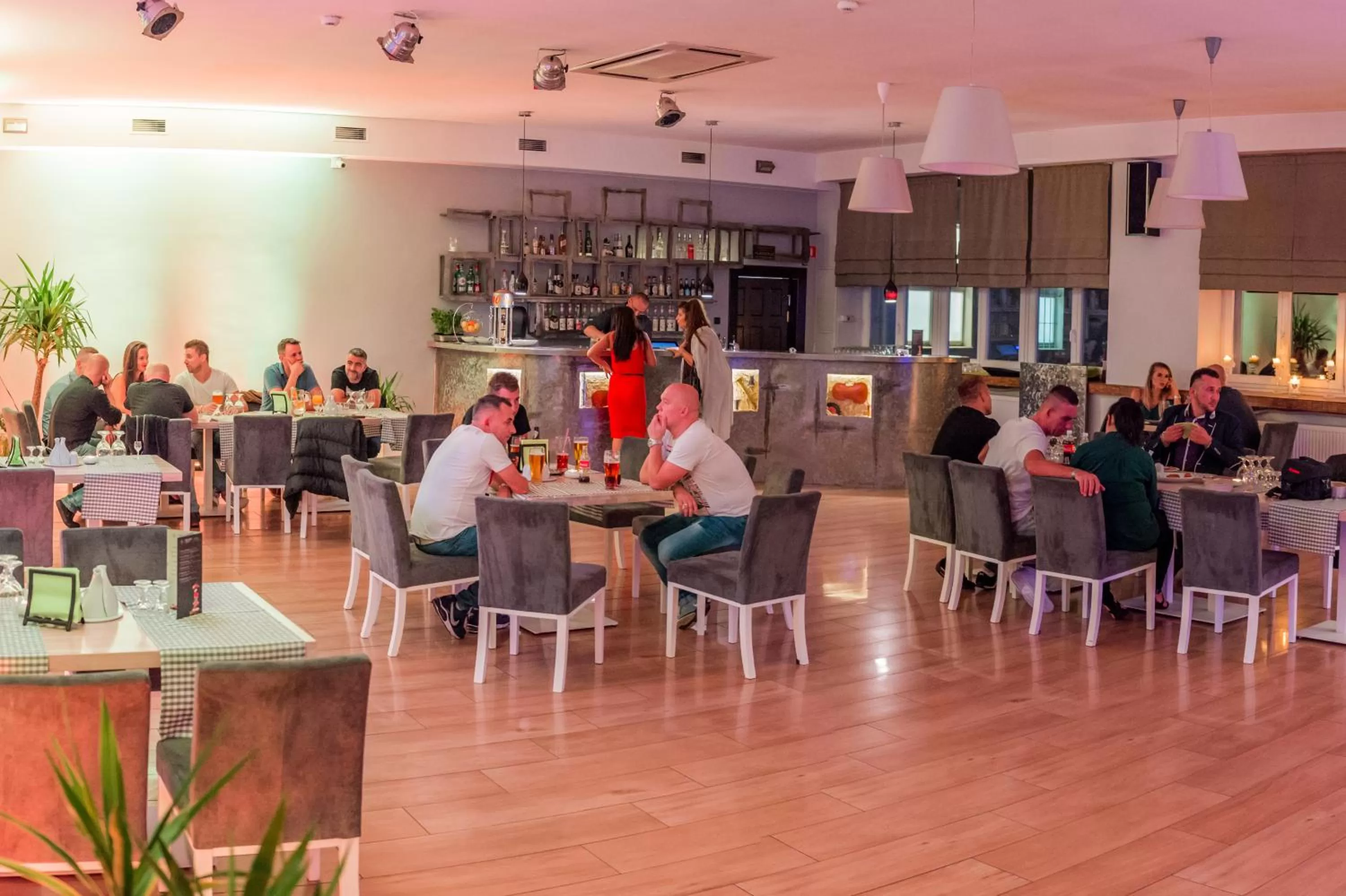 Restaurant/places to eat in Solidaris