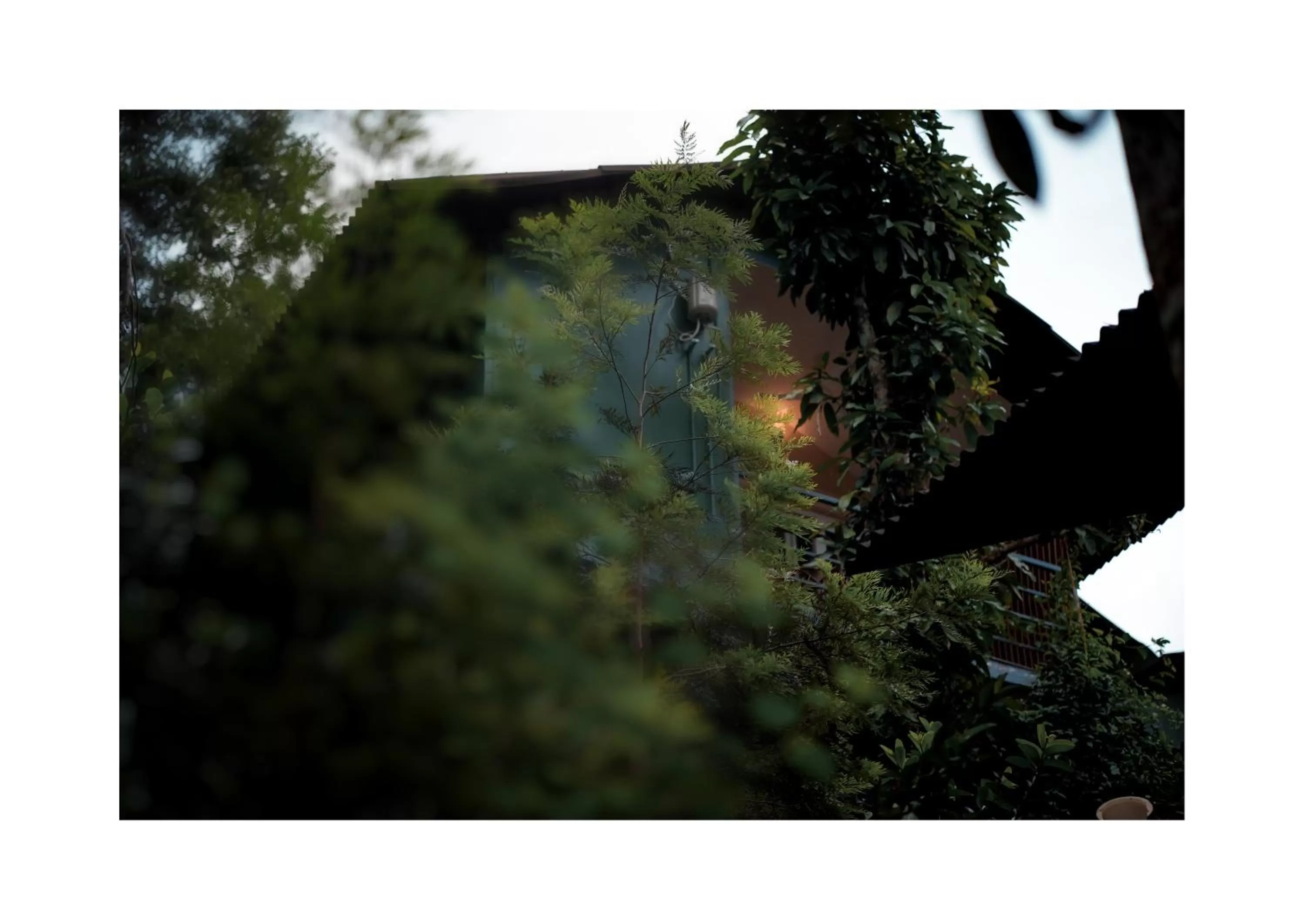 Property building in Edens Munnar