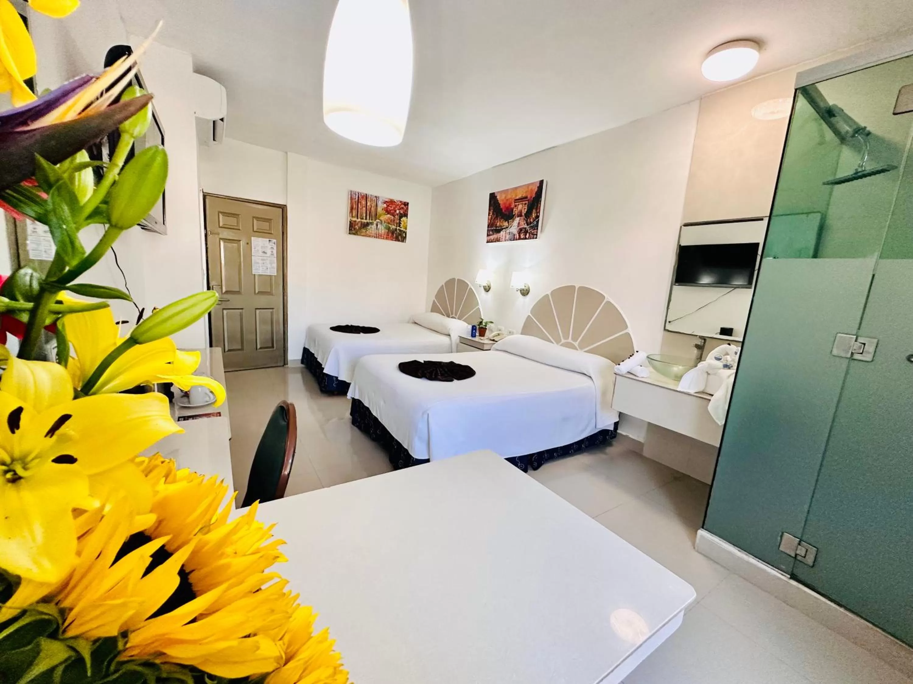 Photo of the whole room in Hotel Plaza Caribe