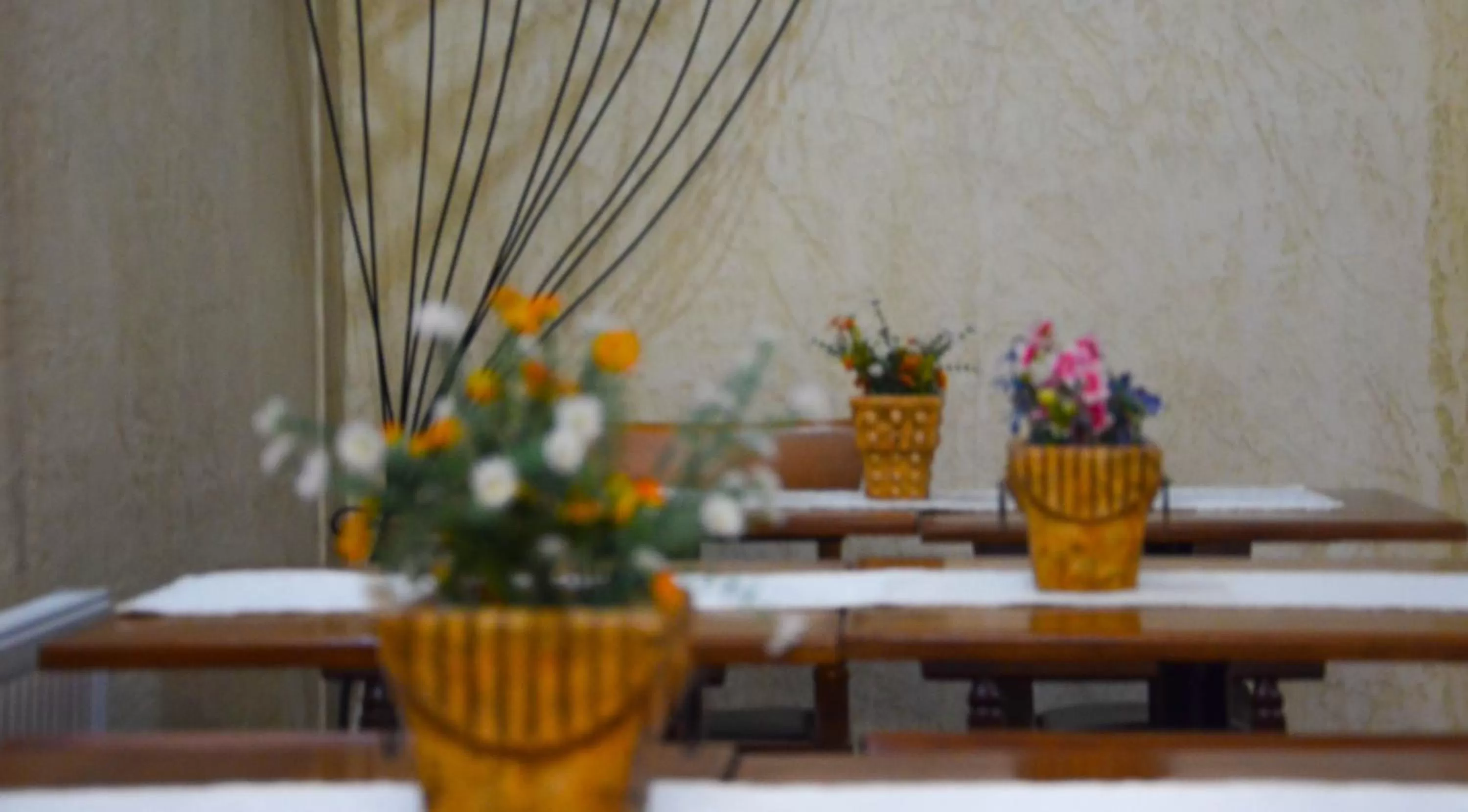 Lounge or bar, Restaurant/Places to Eat in Hotel Dikran