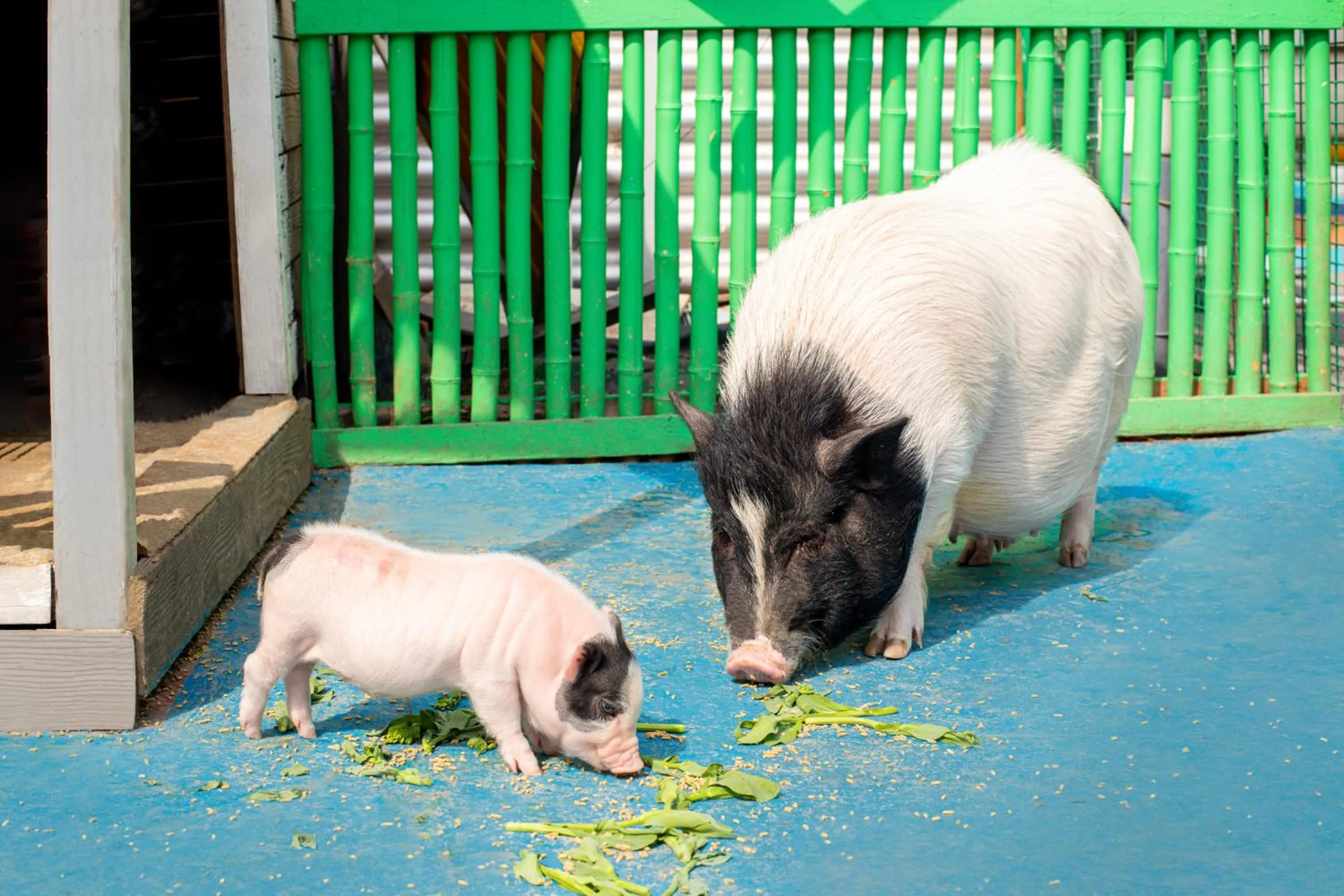 young children in Crowne Plaza Shanghai Xiayang Lake by IHG