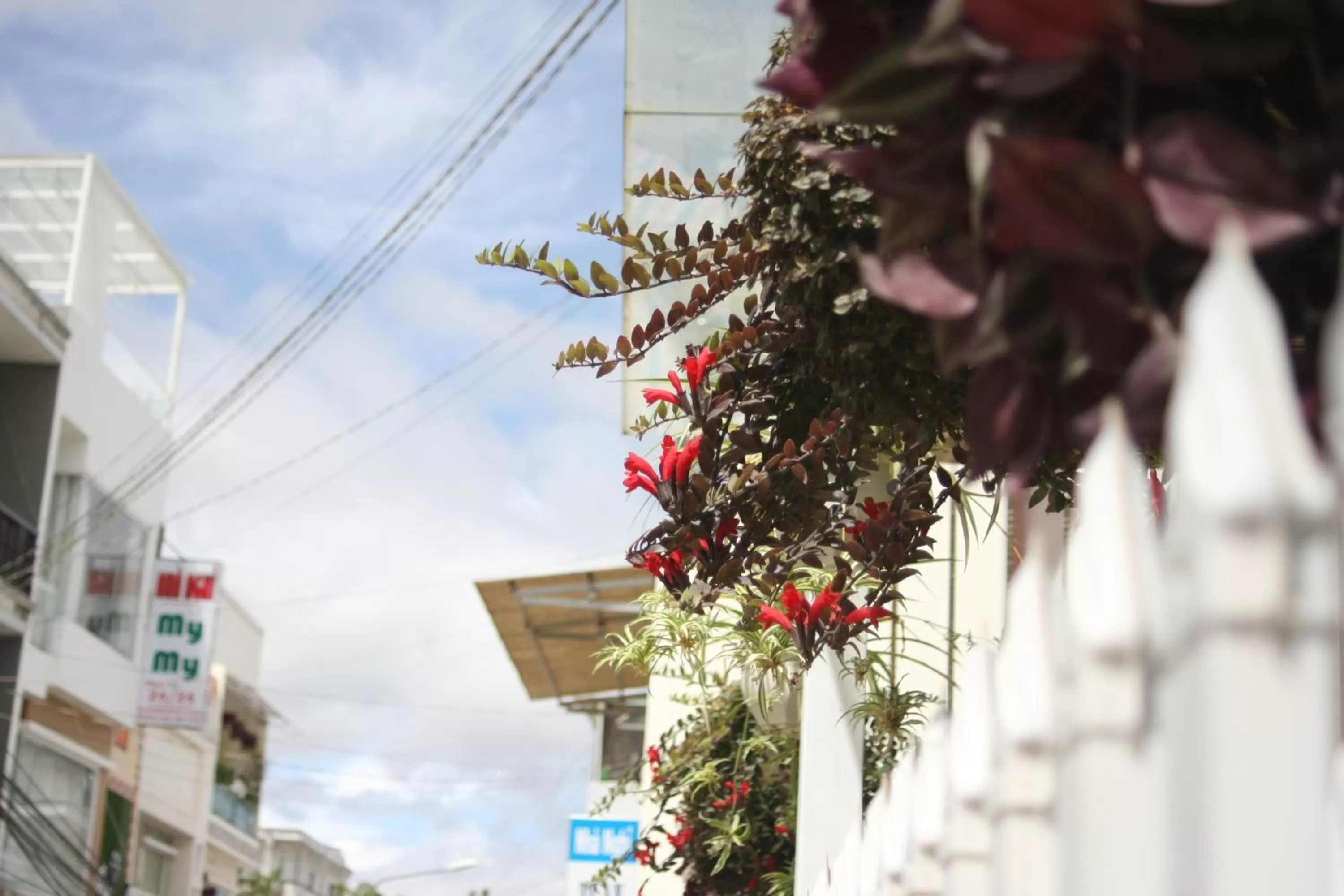 Balcony/Terrace in Cherry House Đà Lạt