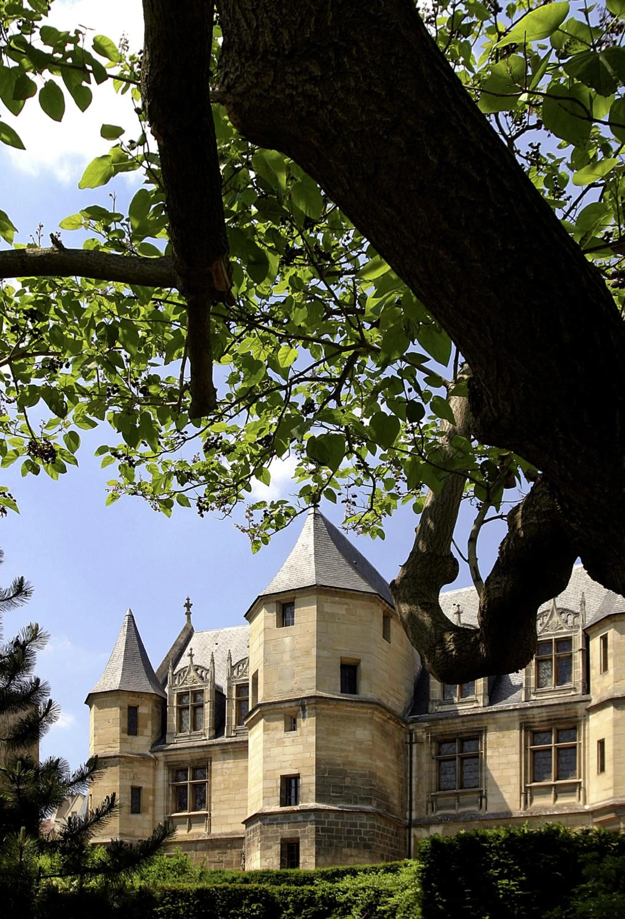 Activities in ibis Cergy Pontoise Le Port