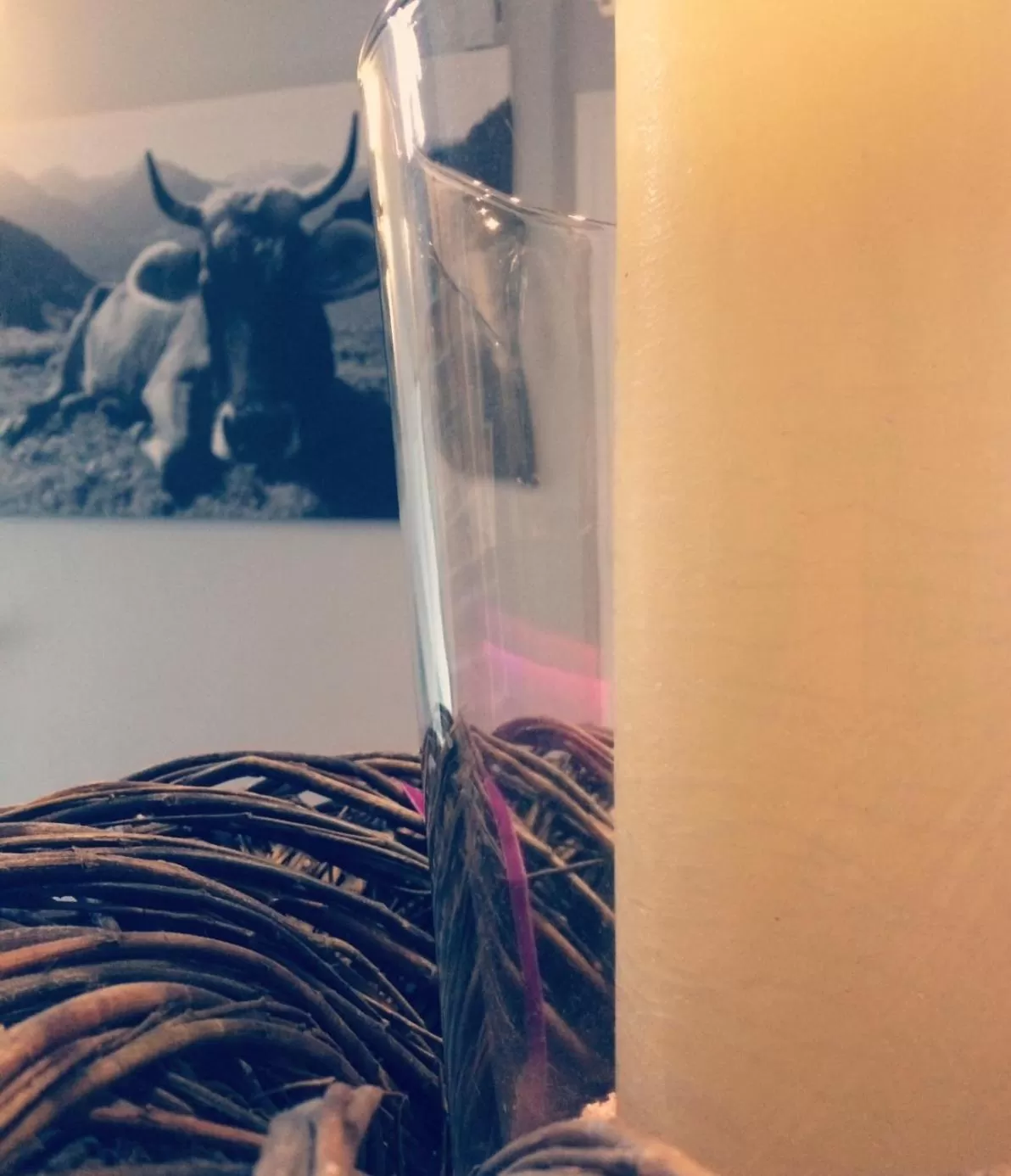 Lobby or reception in Hotel Heddernheimer Hof