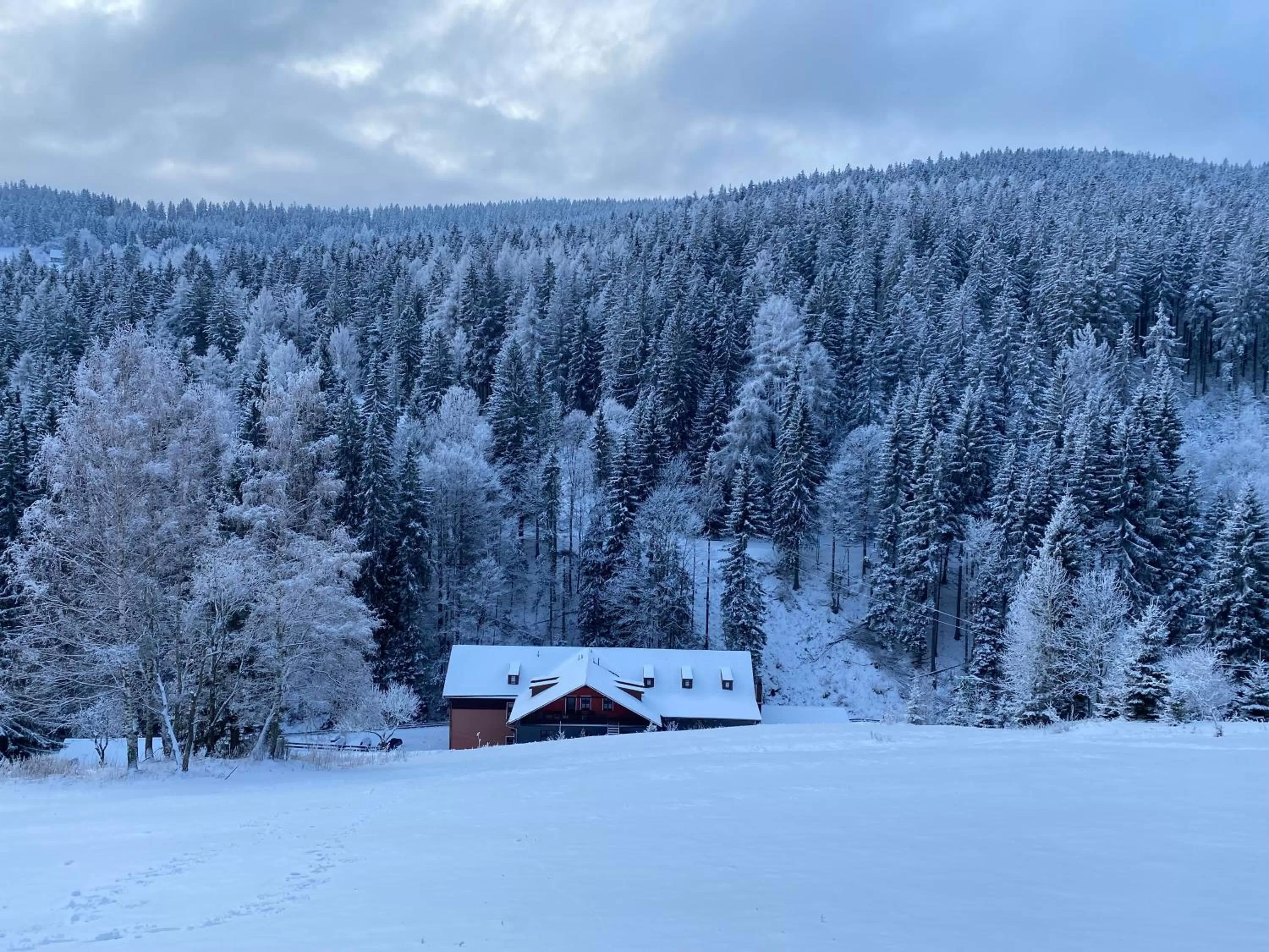 Winter in Hotel Petski