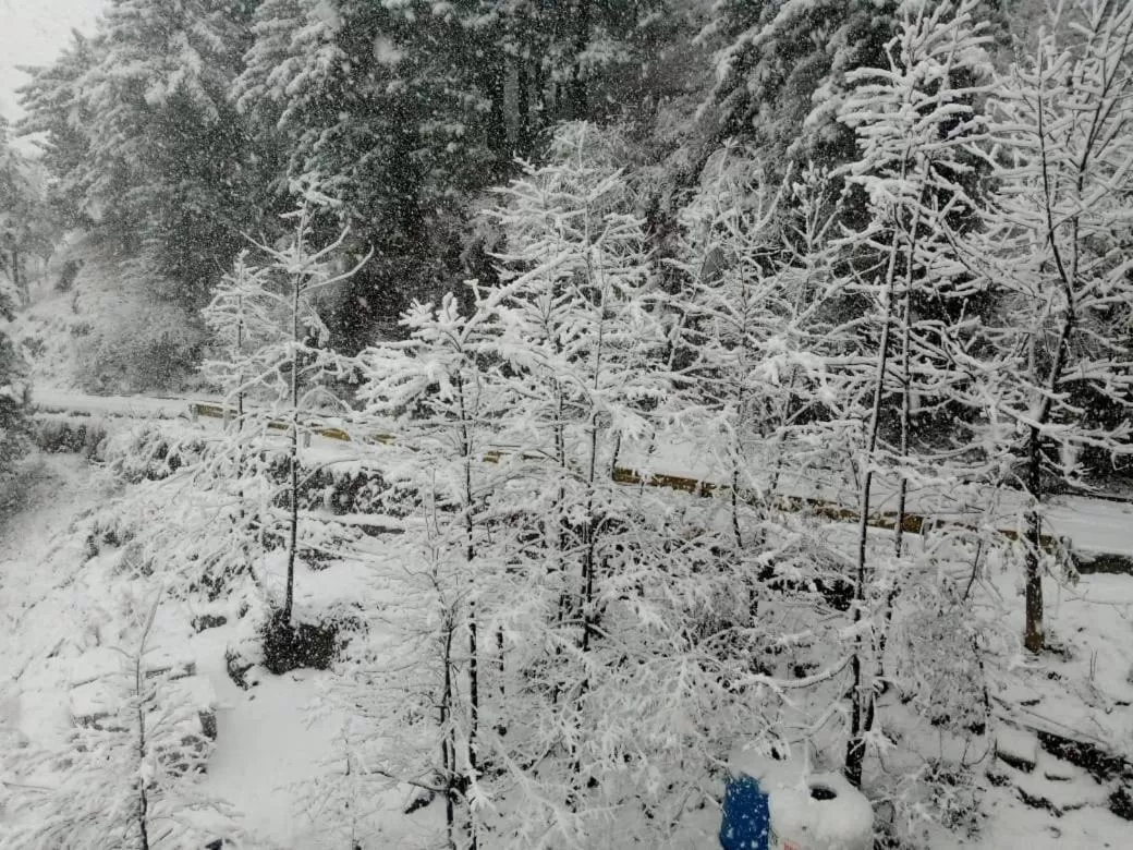 Winter in Shagufta Royal Hotel Murree