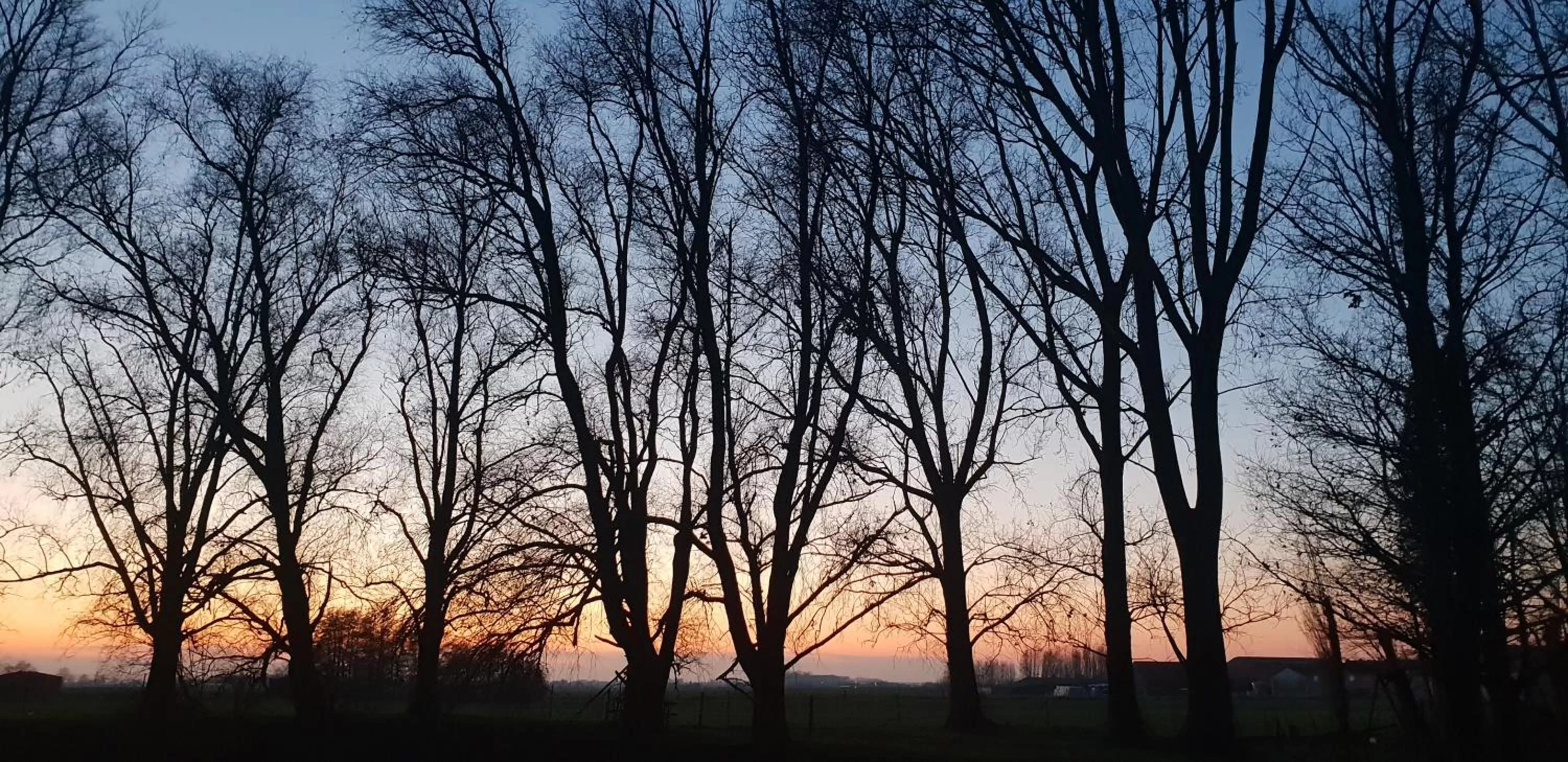 Natural landscape in Hotel Landhuis 't Wilgenerf
