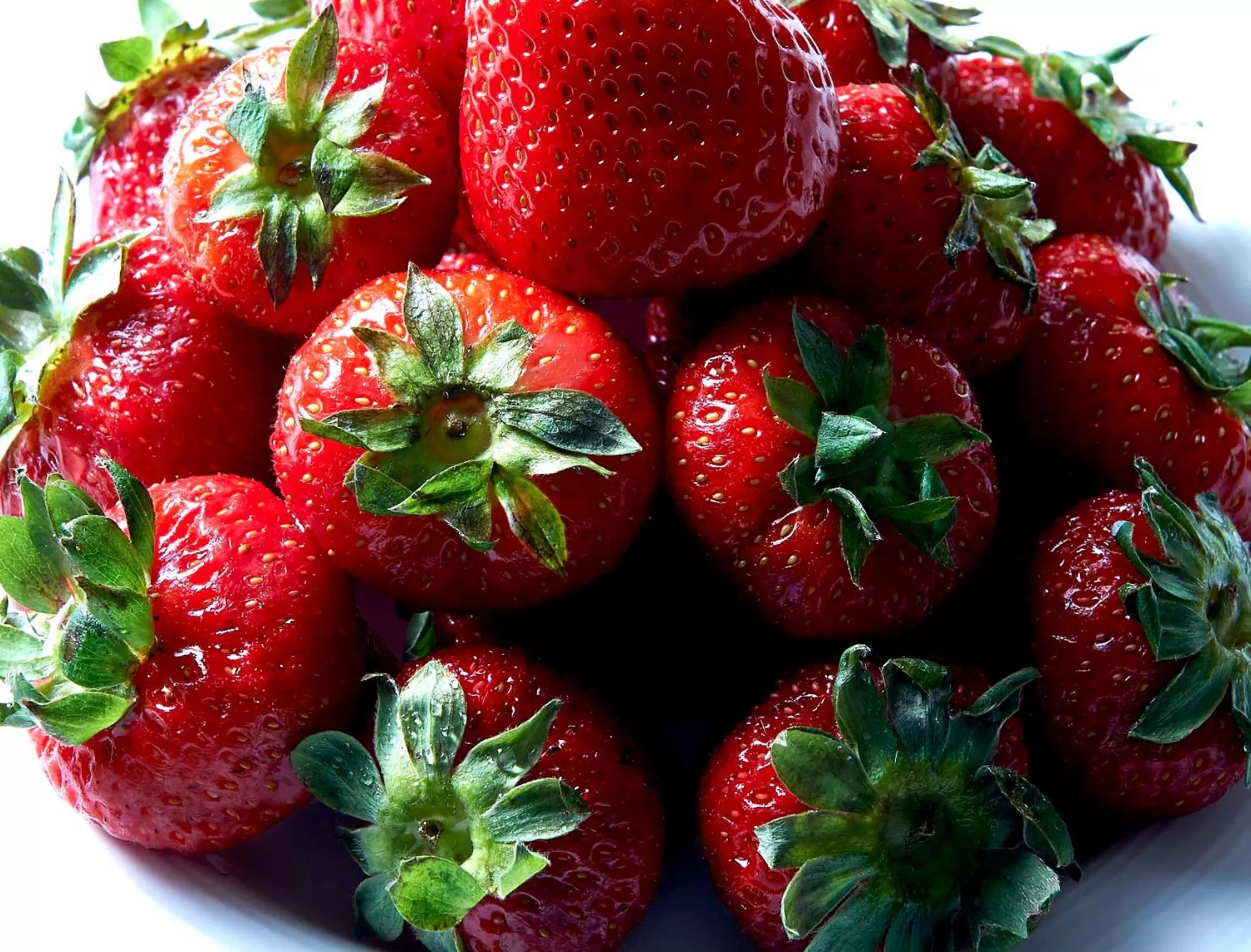 Food in Harry's Bar Trevi Hotel & Restaurant