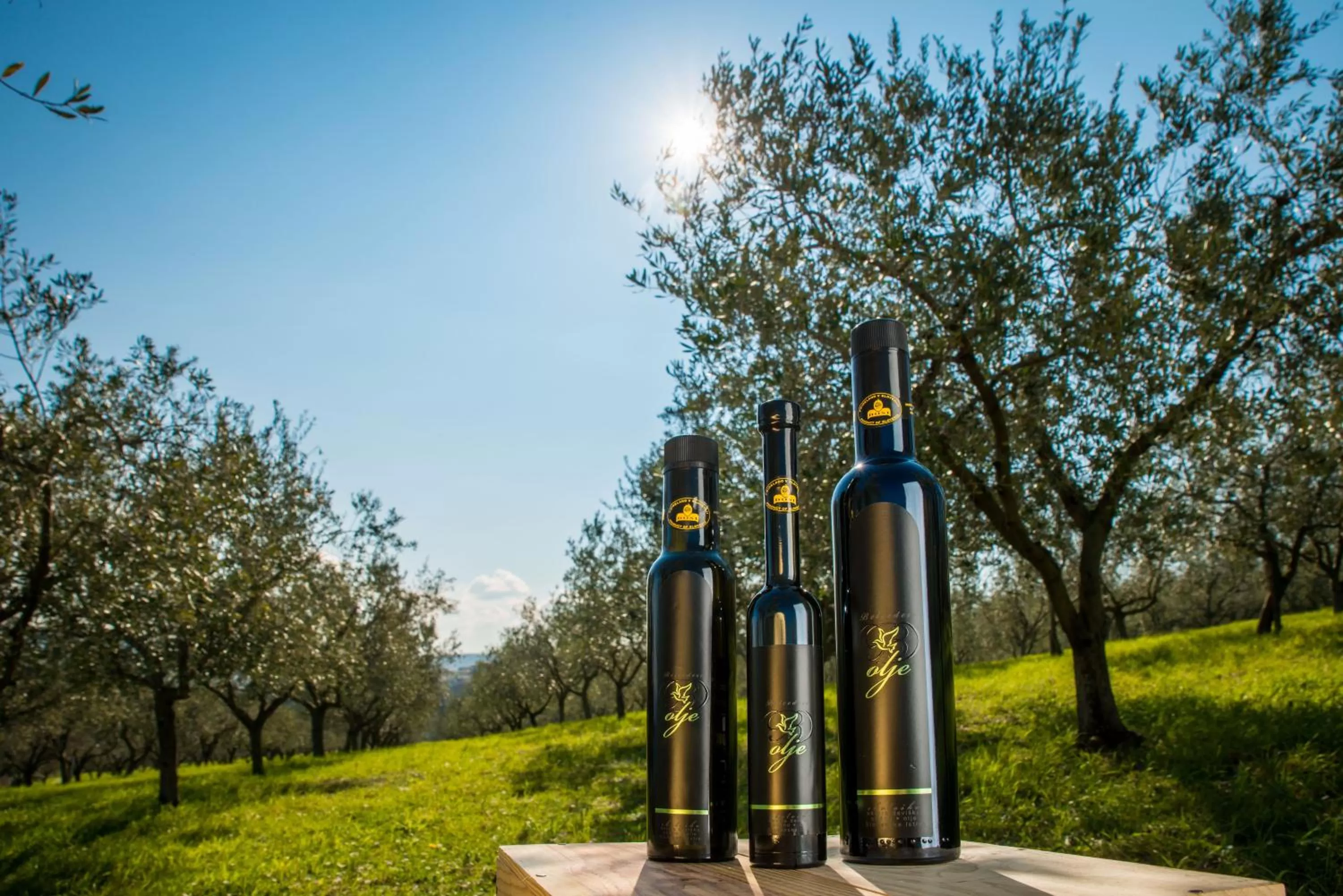 Day in Belvedere Resort Hotels