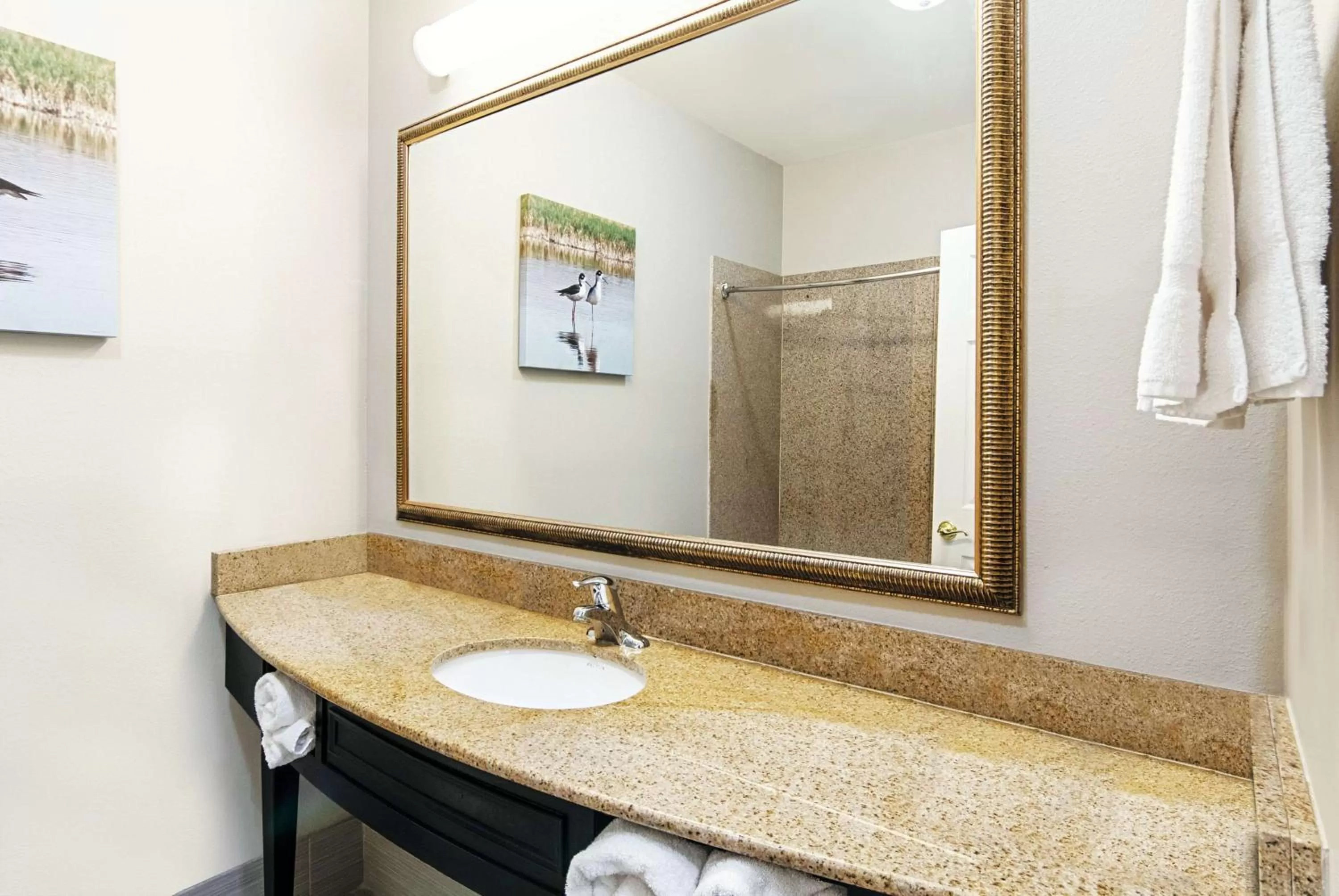 Bathroom in La Quinta by Wyndham Alamo-McAllen East