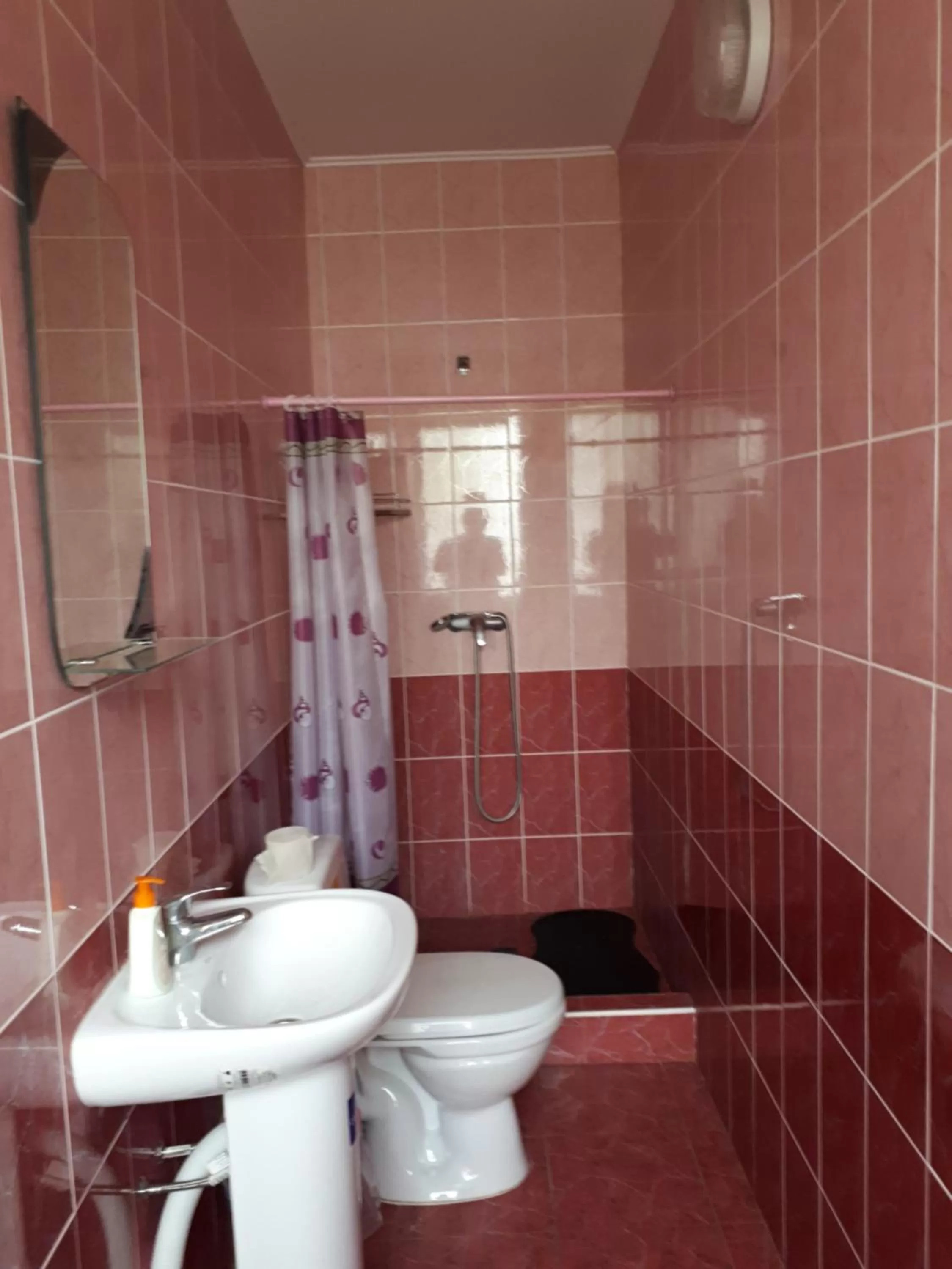 Toilet in Hotel Gostynnyi Dvir