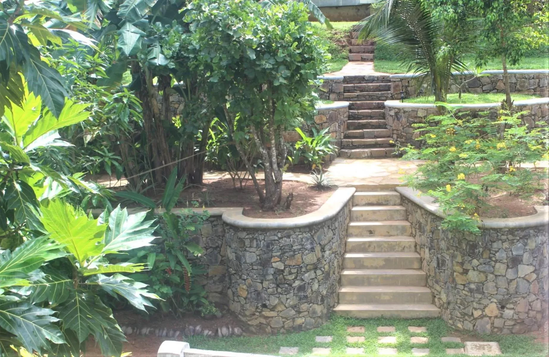 Garden in The Spice House Mirissa