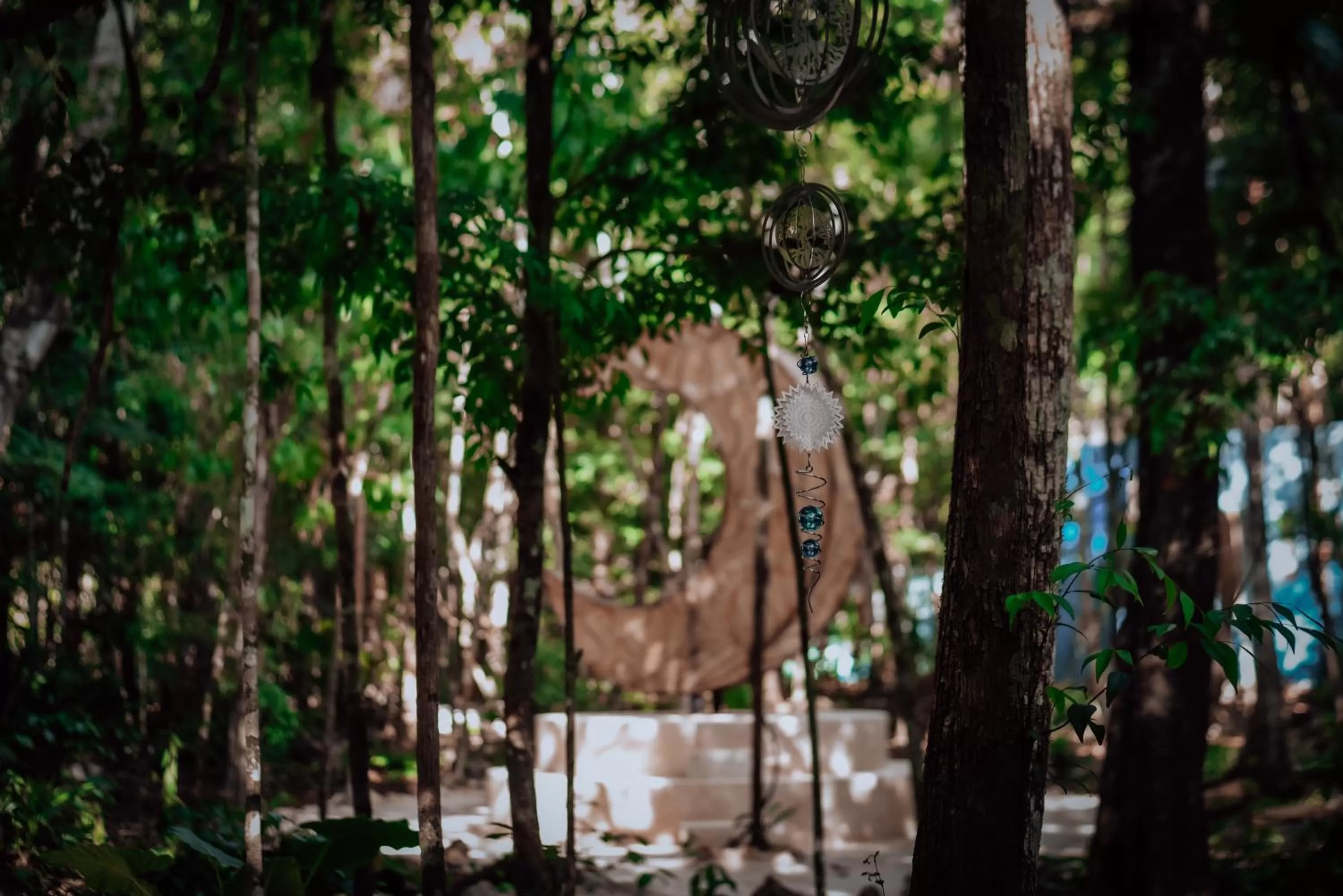 Natural landscape in Lunita Jungle Experience