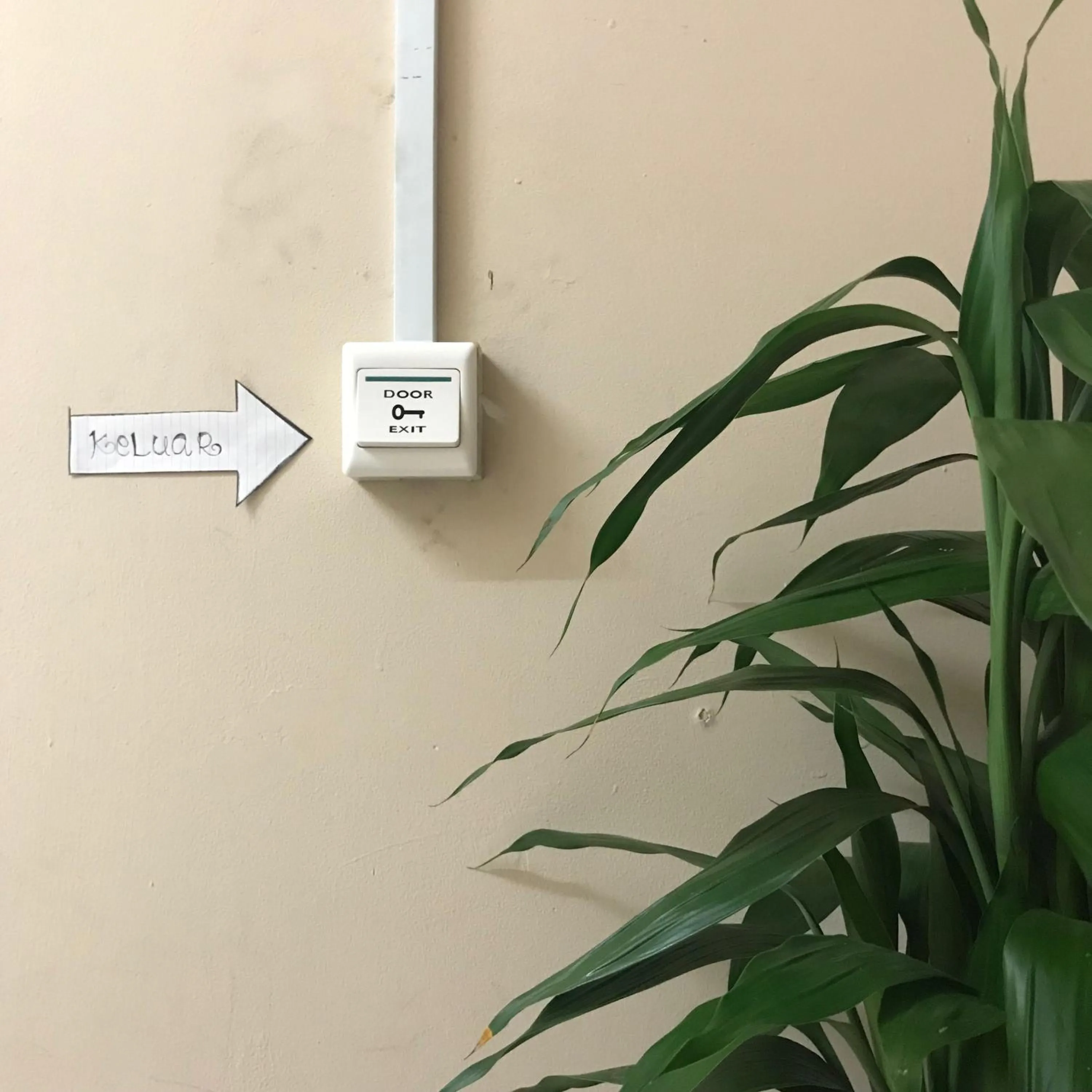 Property building in Iskandar Sinsuran Guesthouse