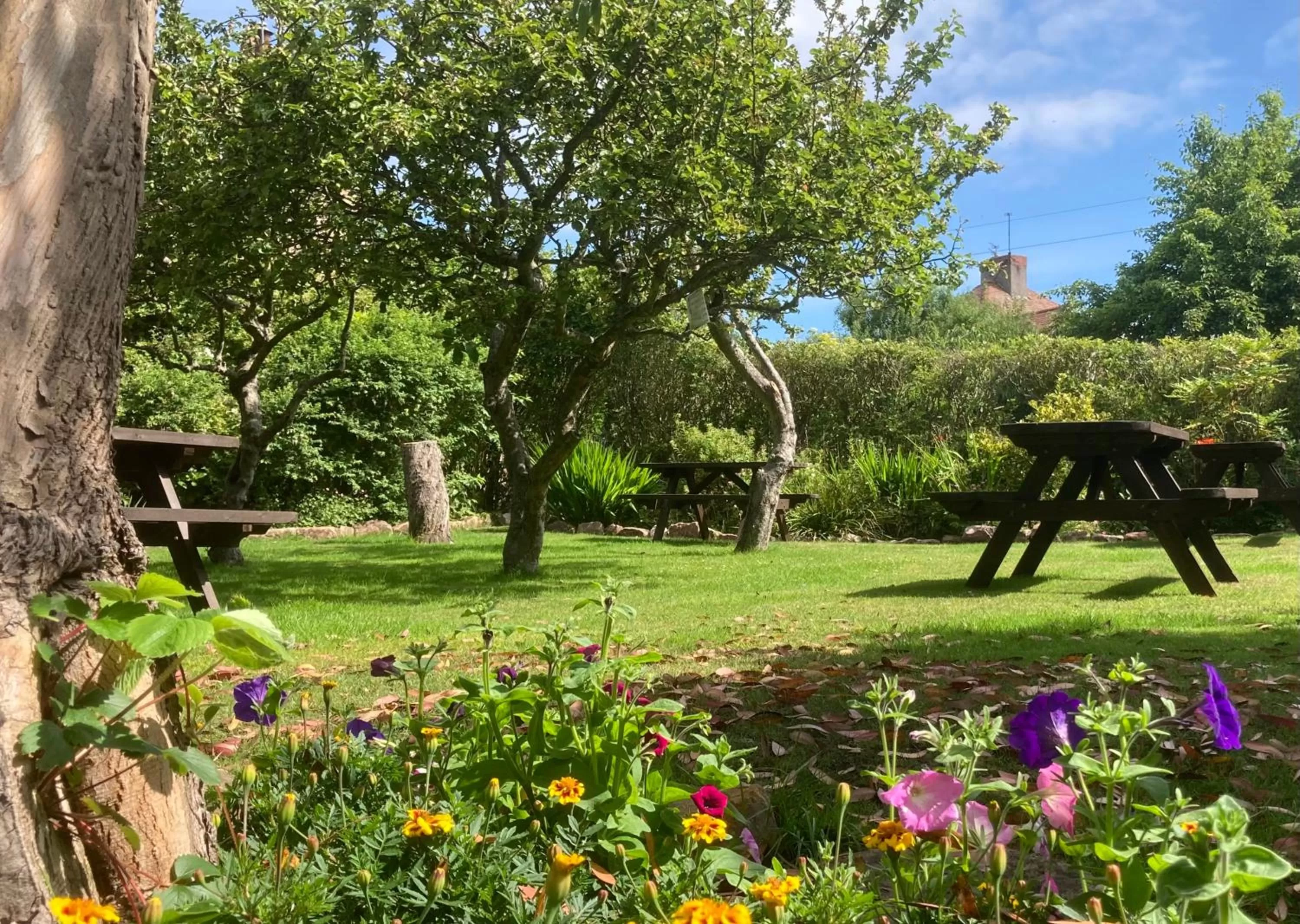 Garden in The Watchman Hotel