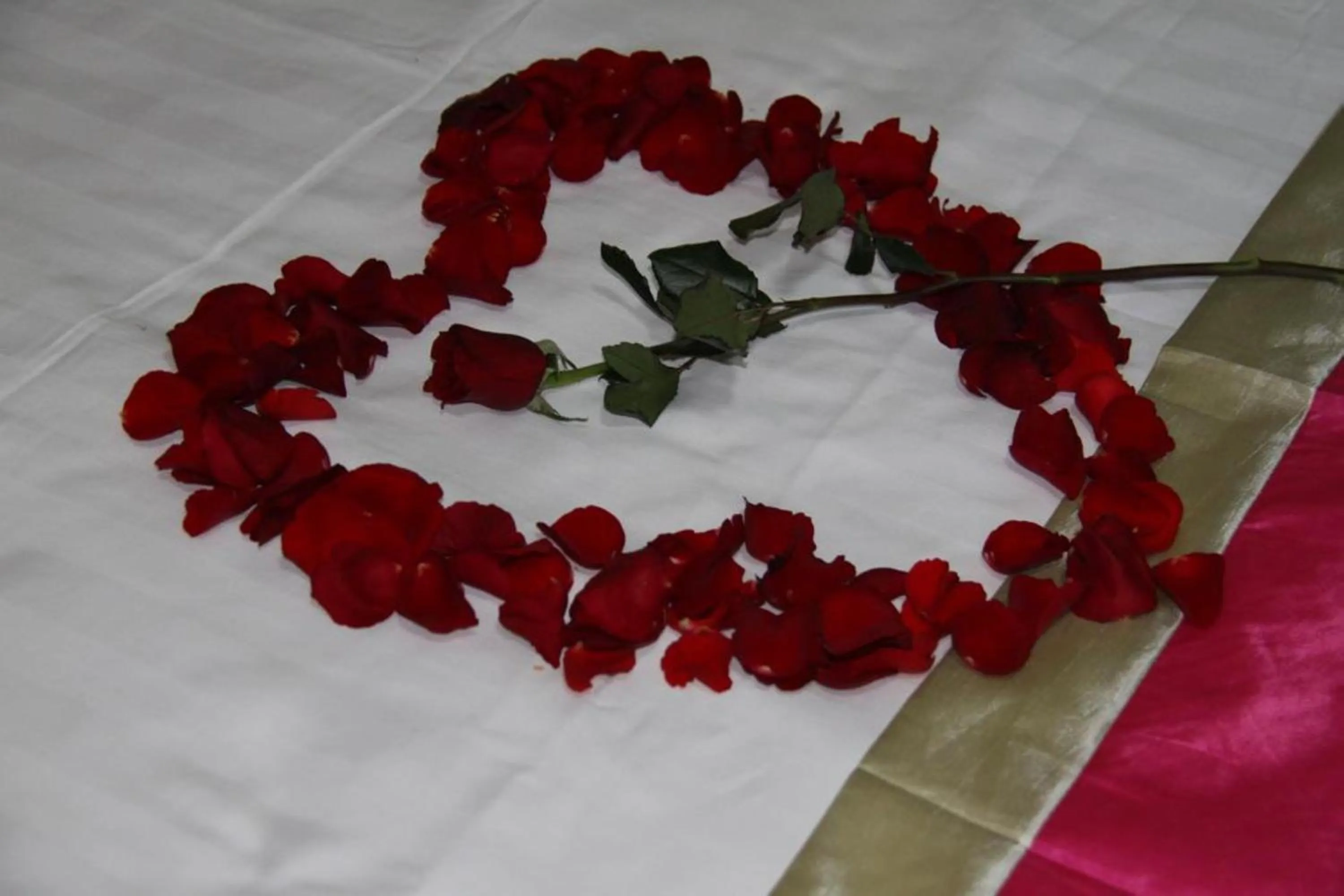 Bed in RS II Guesthouse