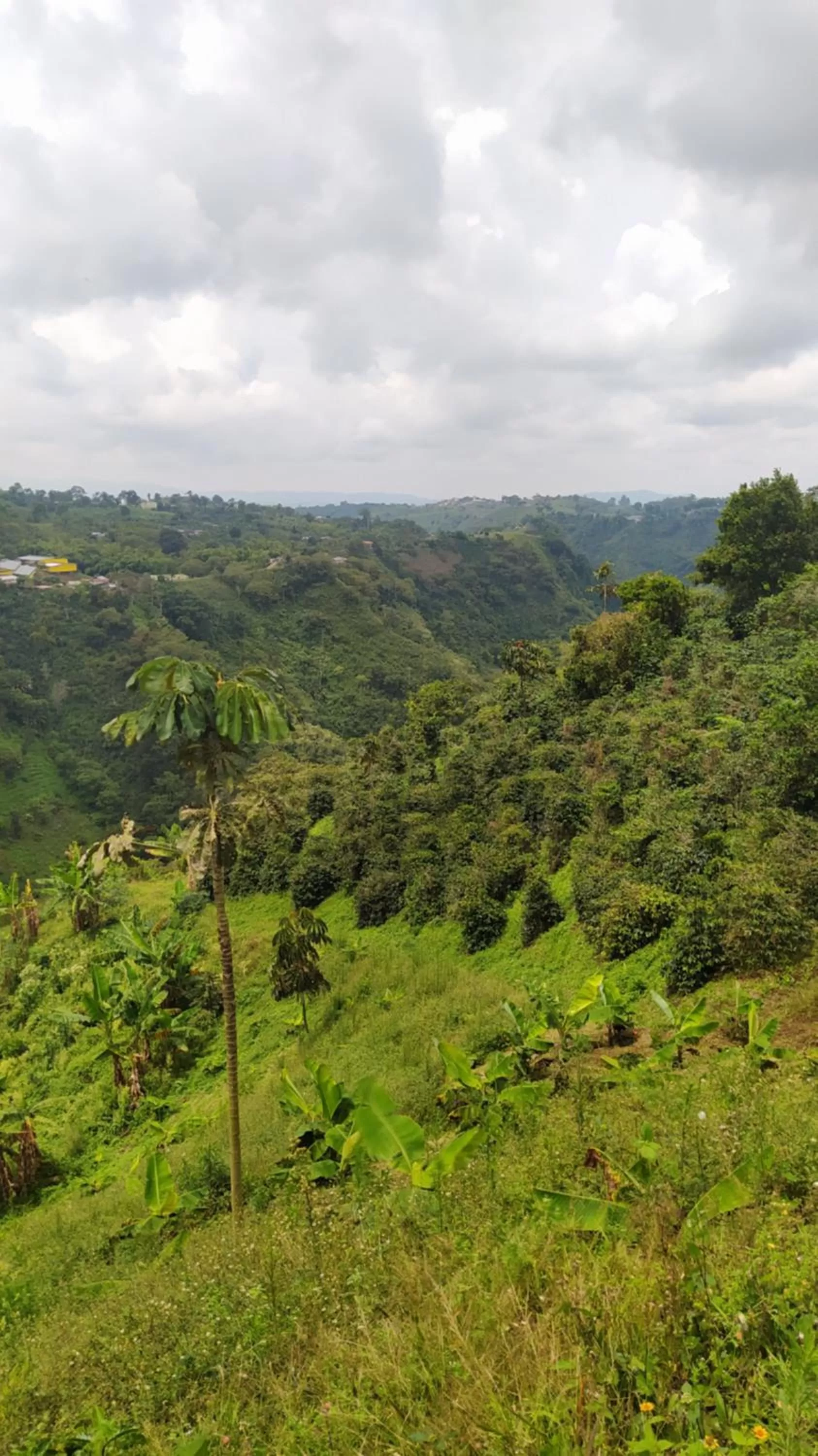 Nearby landmark in Villa Cristina - Casa Boutique