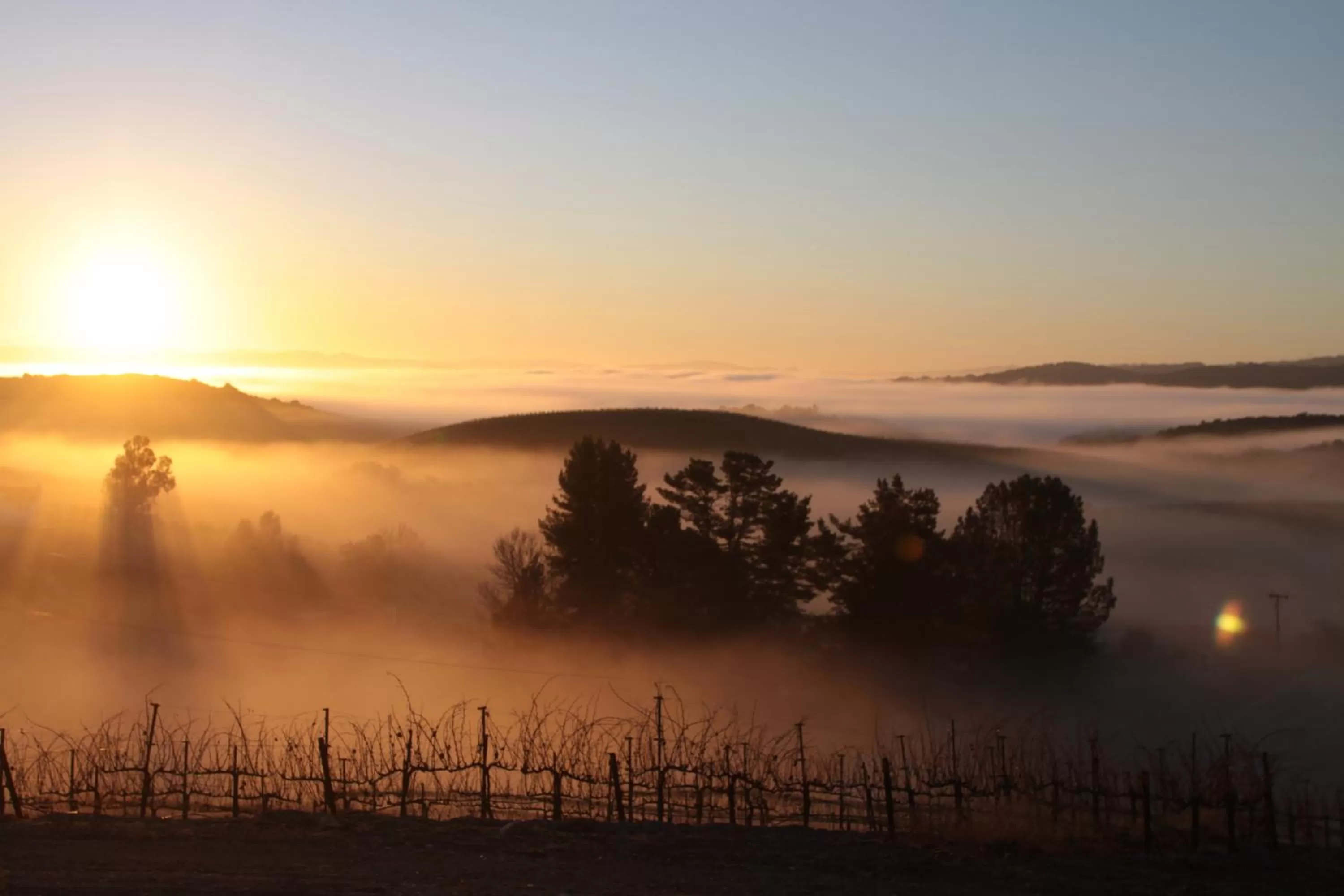 Winter, Sunrise/Sunset in Croad Vineyards - The Inn