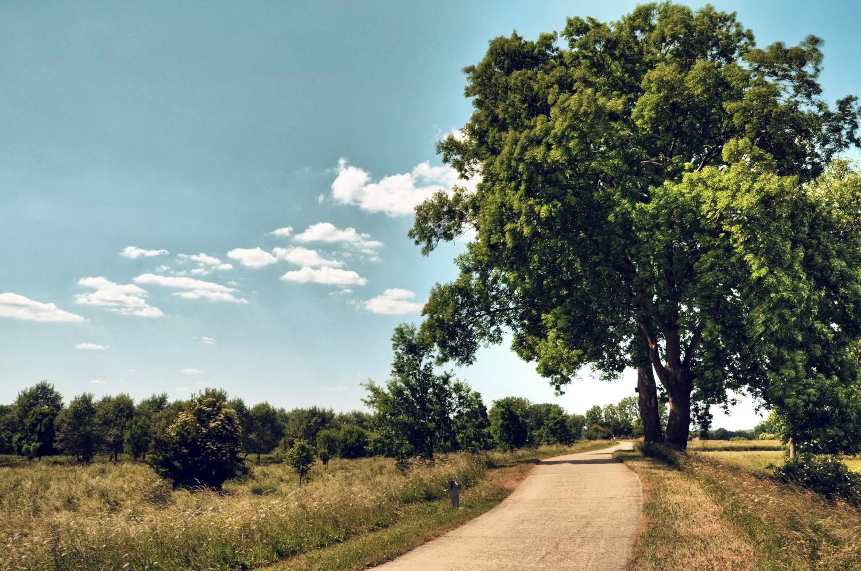 Area and facilities in Terhills Hotel