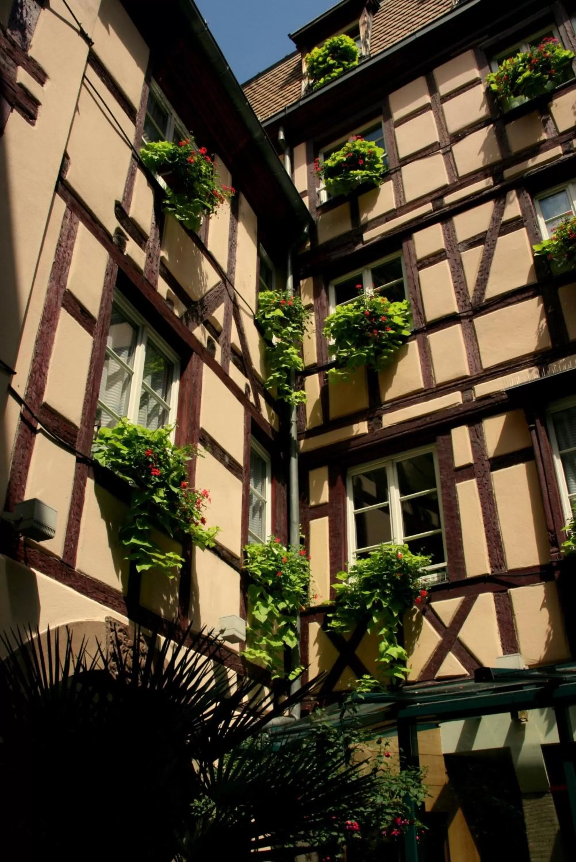 Patio in Hotel Beaucour