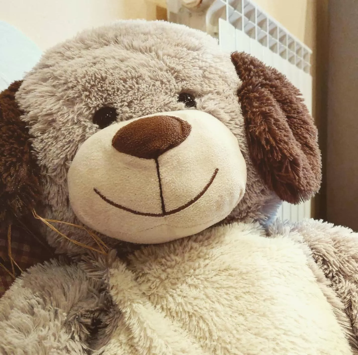 Decorative detail in B&B Casa Camilla