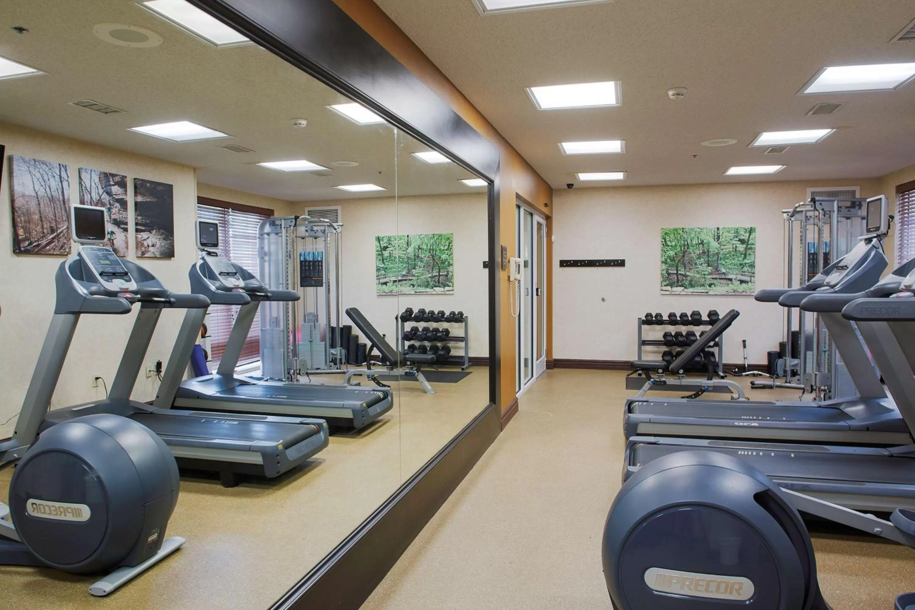 Fitness centre/facilities in Hilton Garden Inn Bentonville Rogers