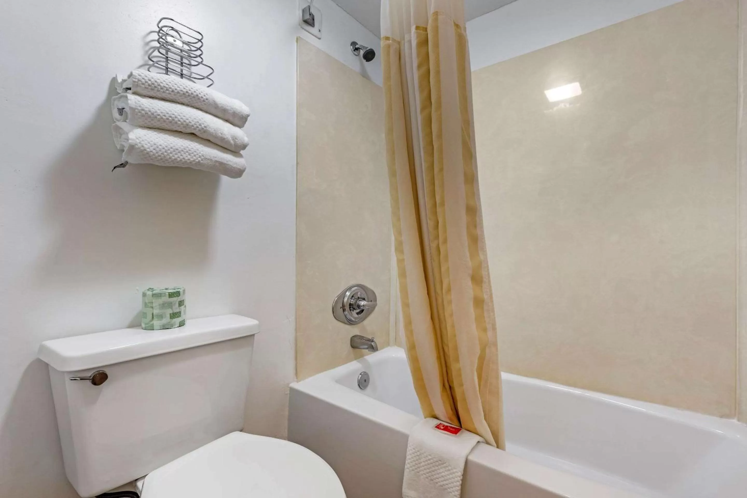 Bathroom in Econo Lodge Inn & Suites Lugoff