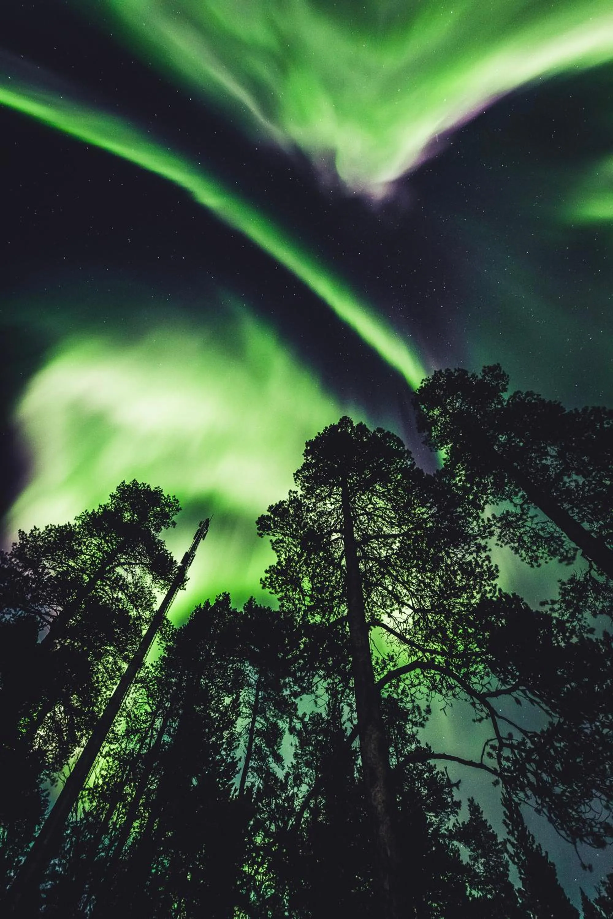 Night in Aurora Village Ivalo