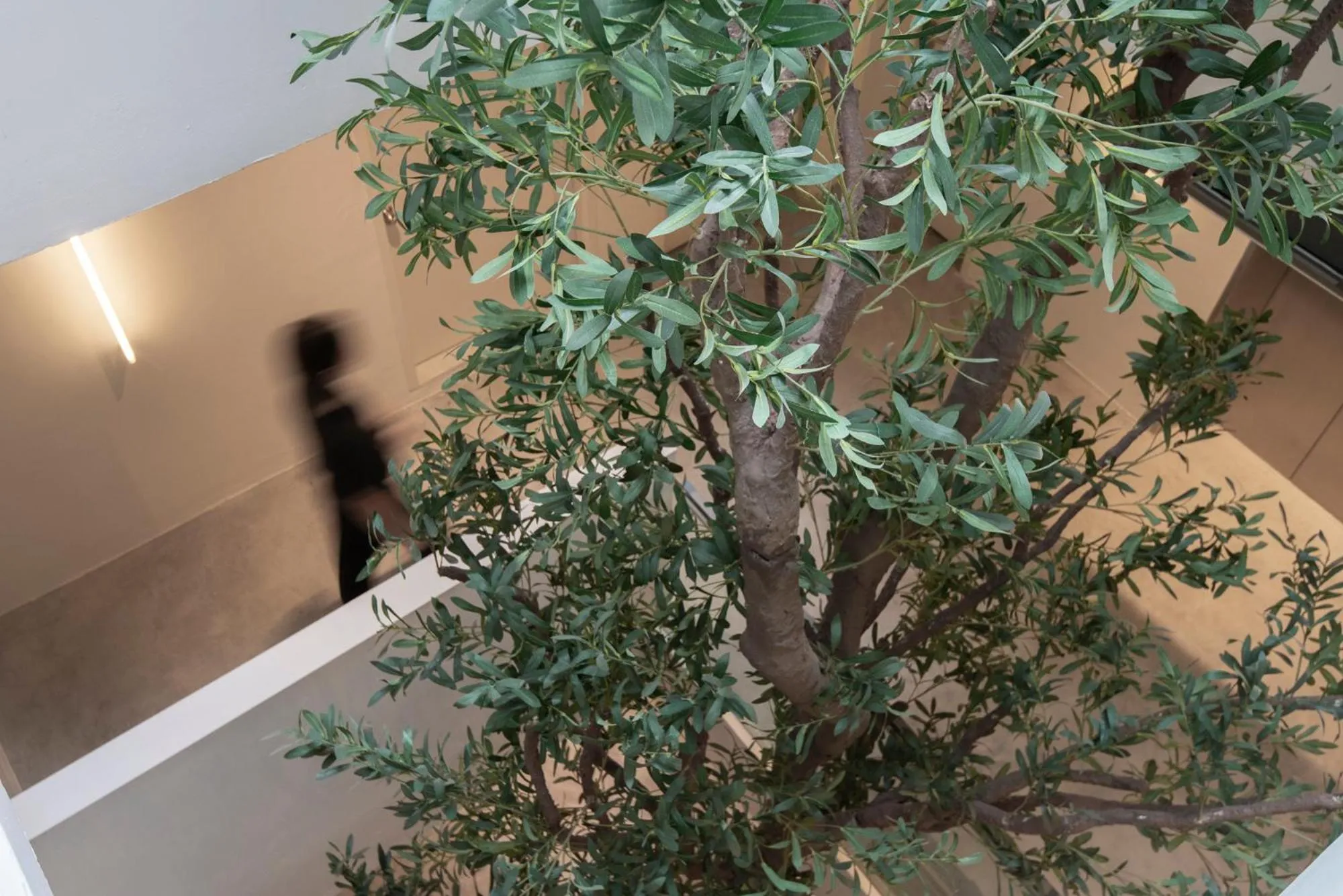 Decorative detail in KINN Capsule - HER Space, Female Only