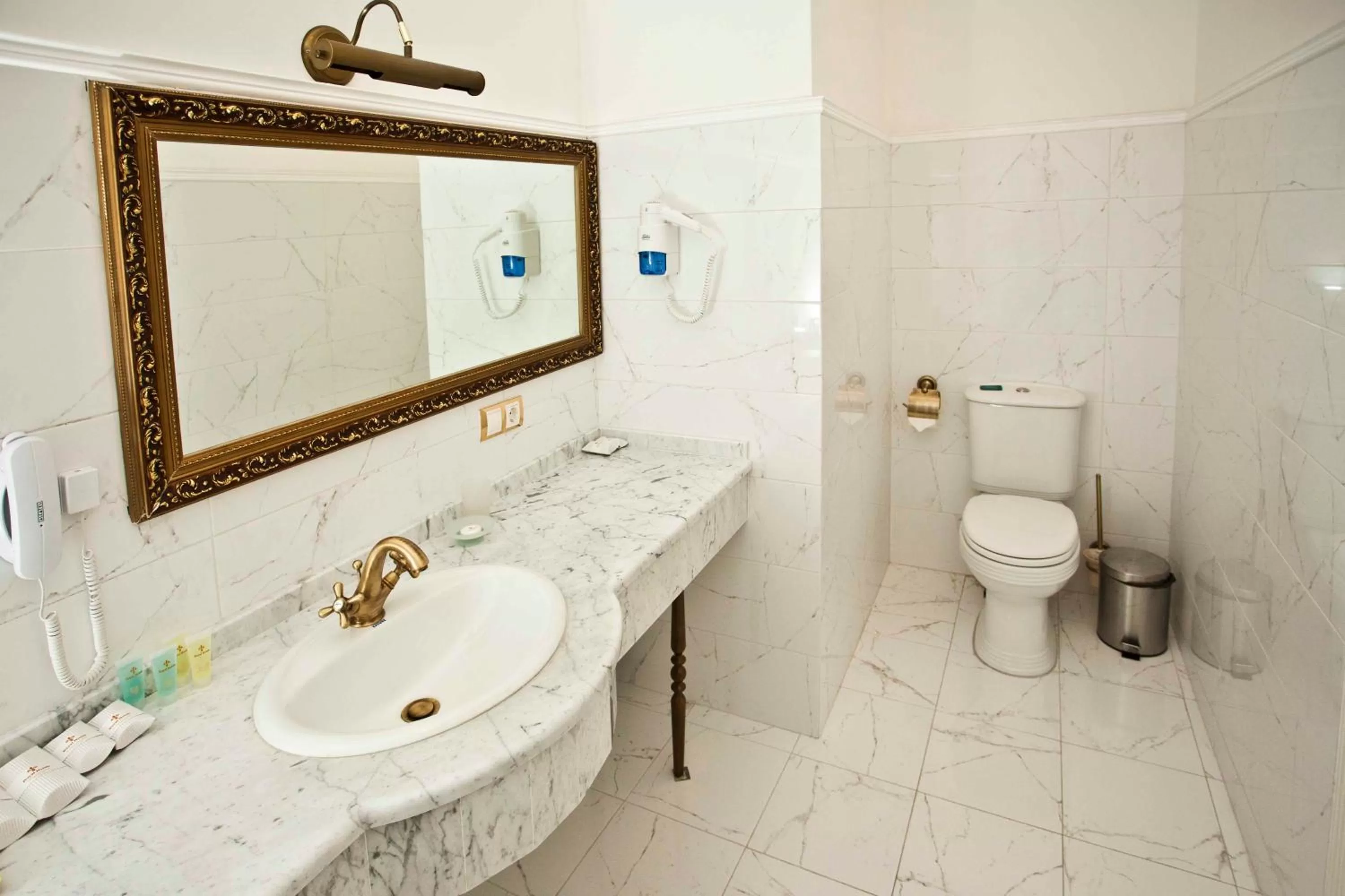 Toilet in Olympic Hotel