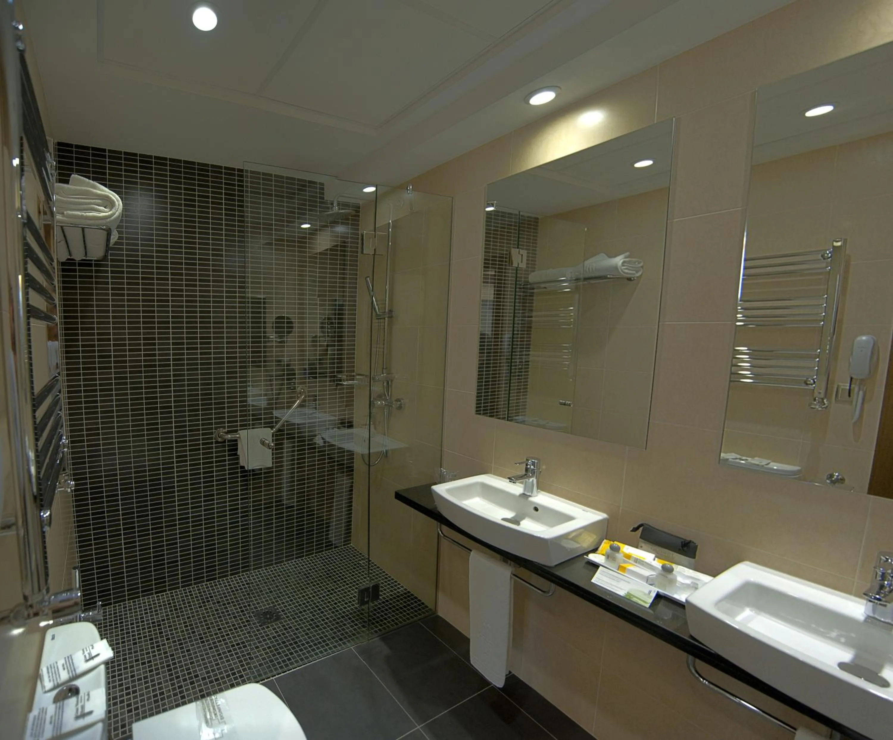 Toilet in Gran Versalles