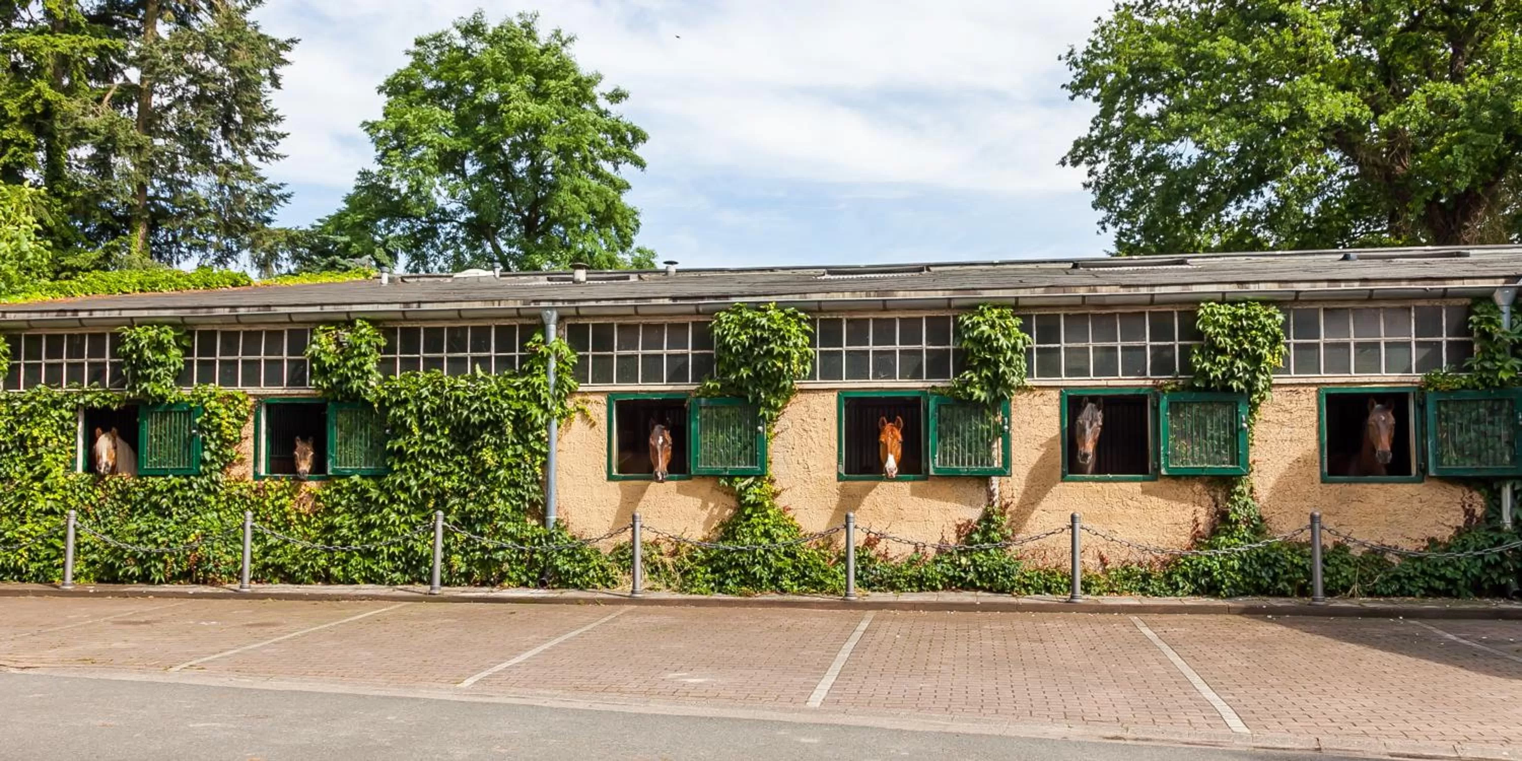 Patio in Gästehaus Schloss Bothmer