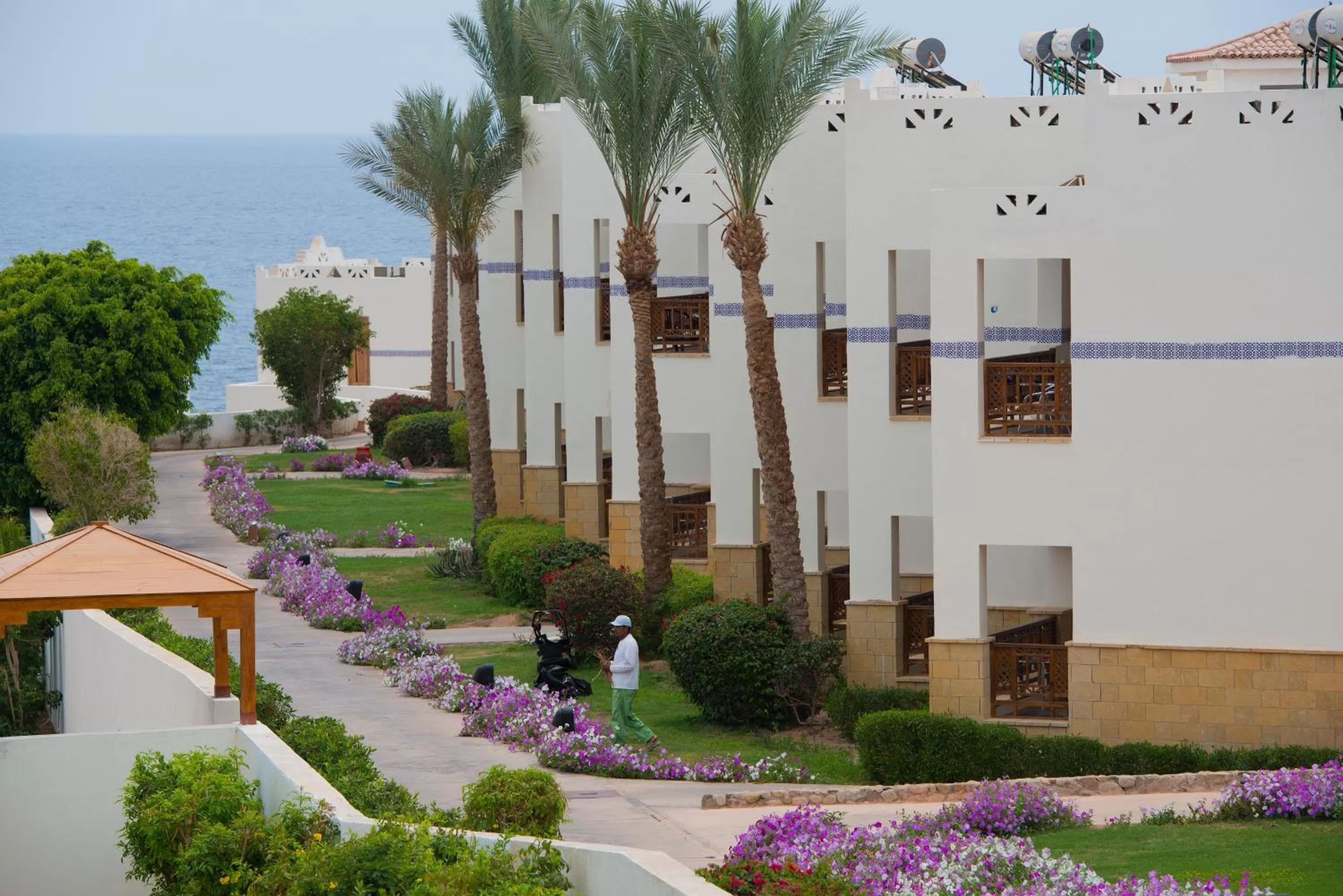 Property building in Amphoras Blu Ultra-AI Adults Friendly