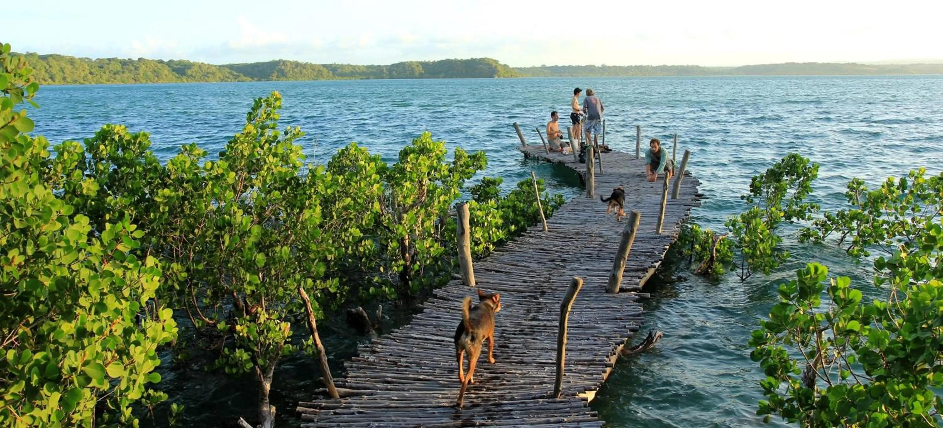 Natural landscape in Distant Relatives Ecolodge & Backpackers