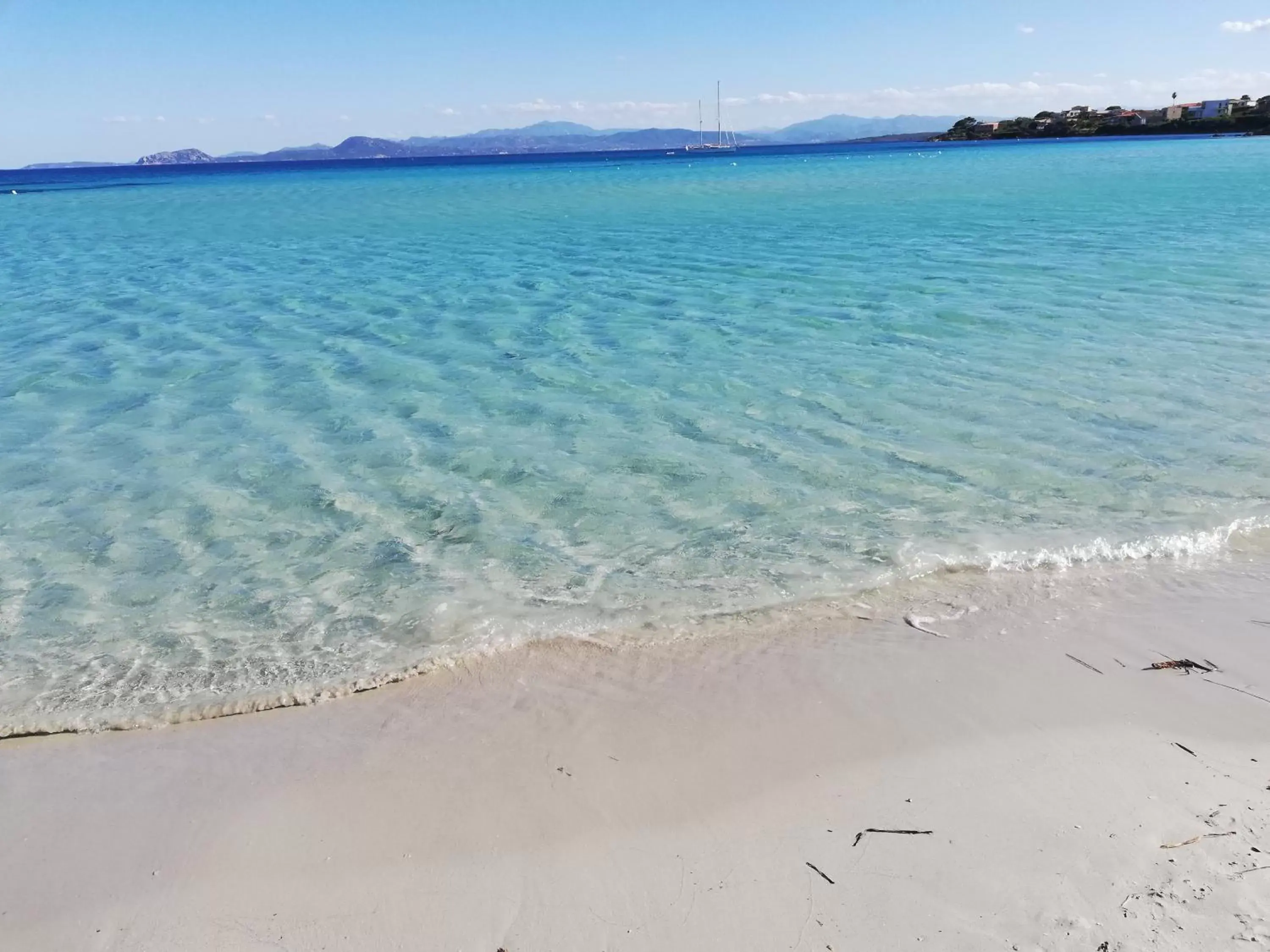 Hotel Tabby Hotel Tabby