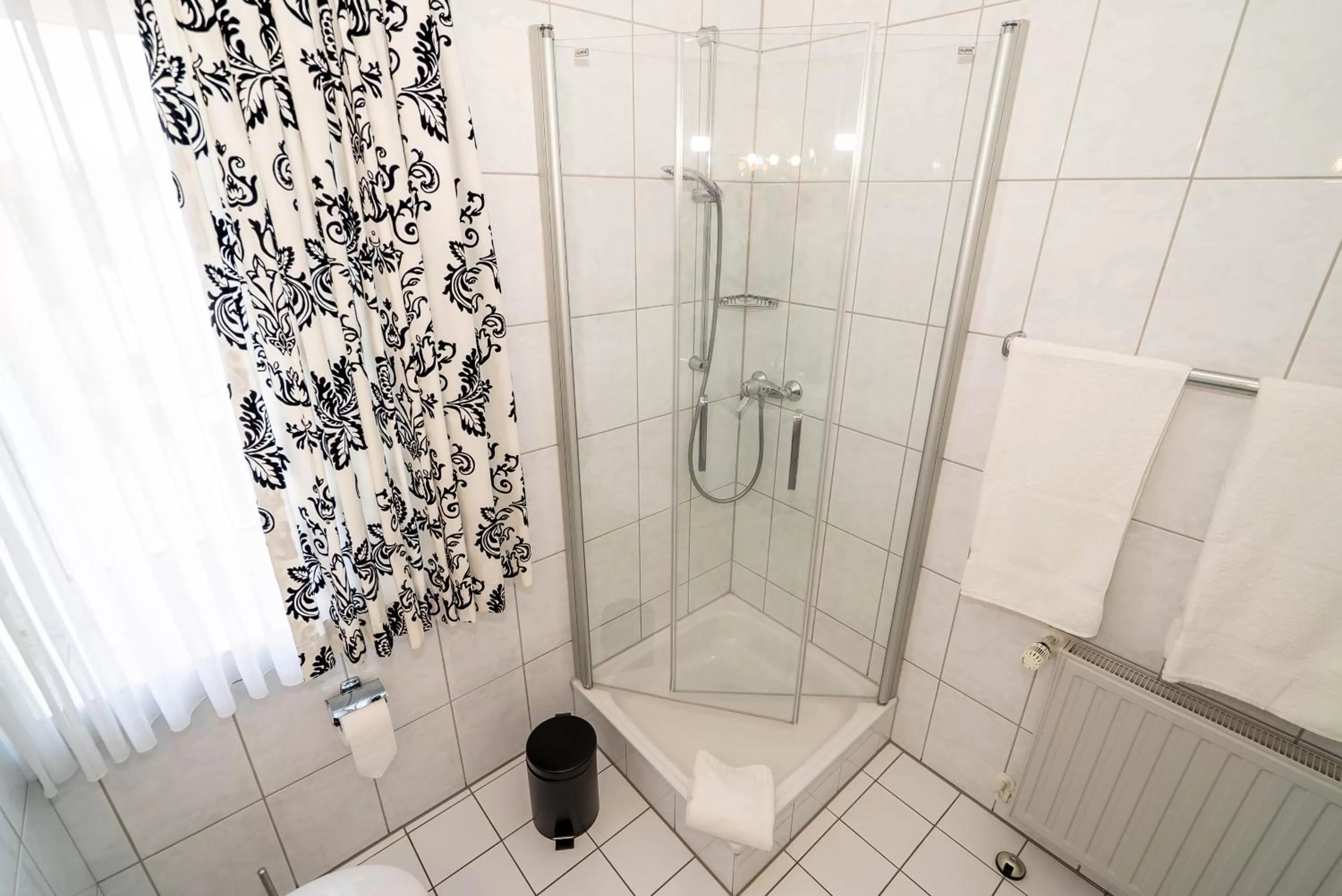 Shower in Hotel Papenbreer