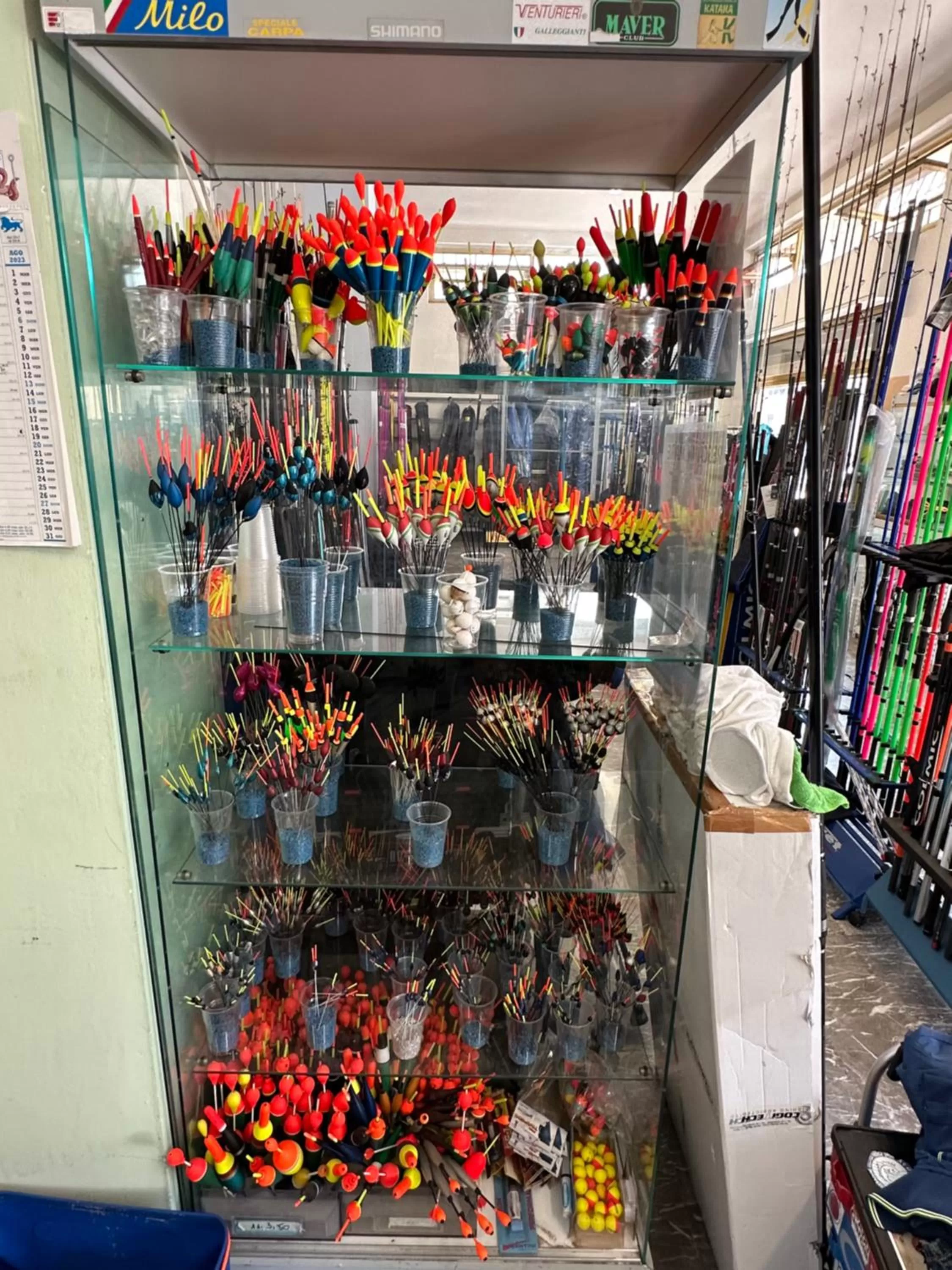 Fishing in D ANNUNZIO house